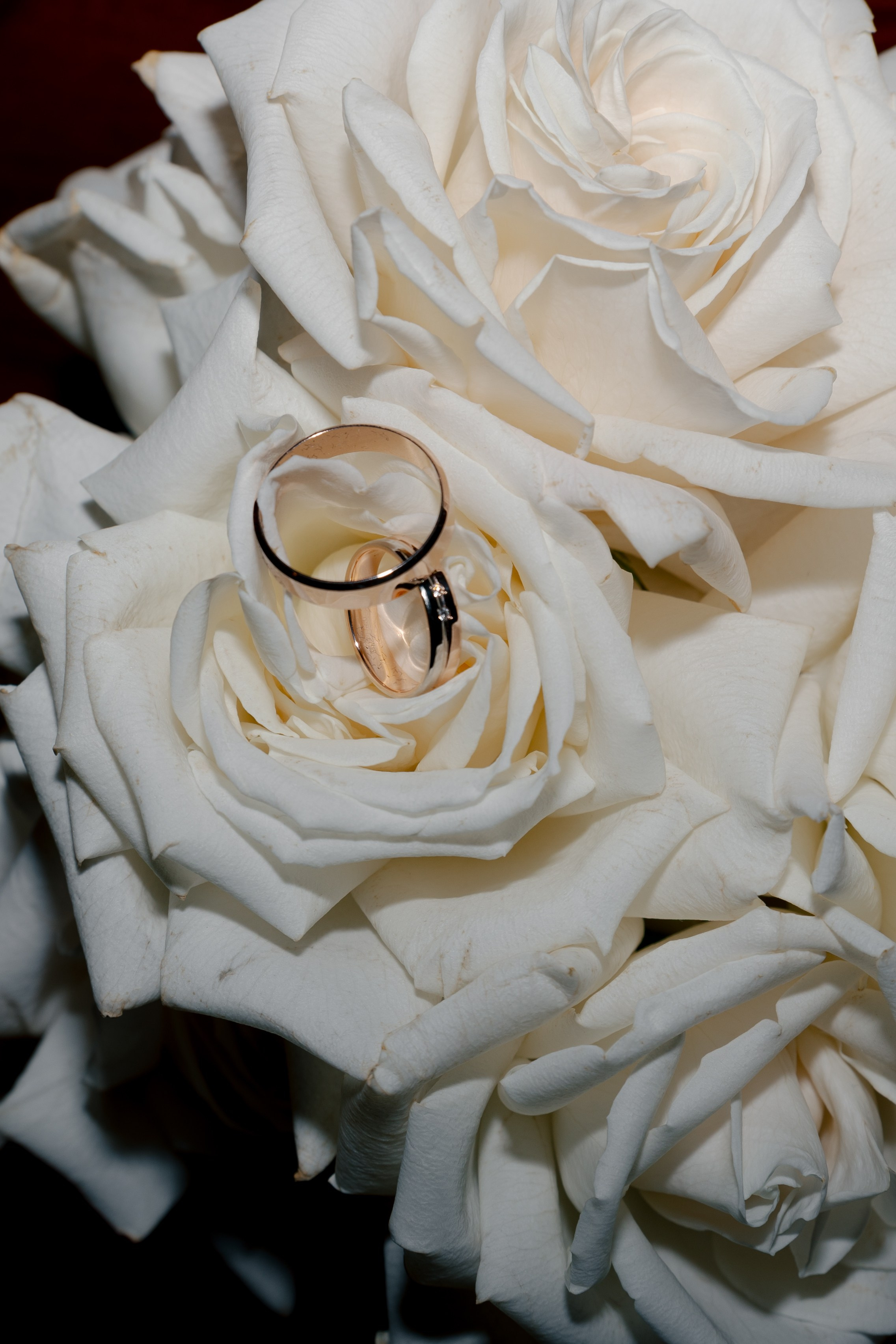 Виталий и Полина. @dariazphoto свадебный фотограф