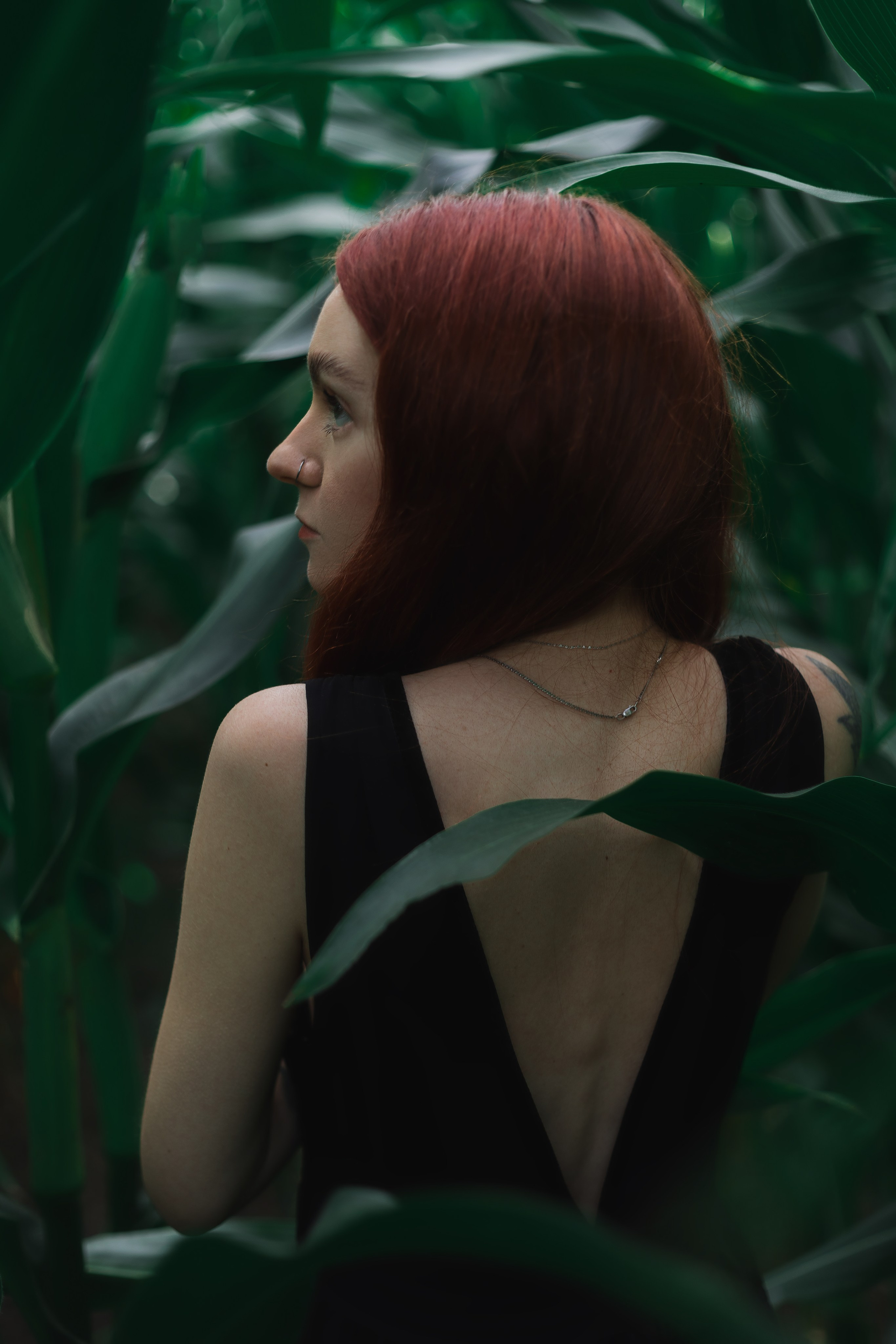 Девушка на кукурузном поле. Фотограф в Санкт-Петербурге и Москве Наталья Милли