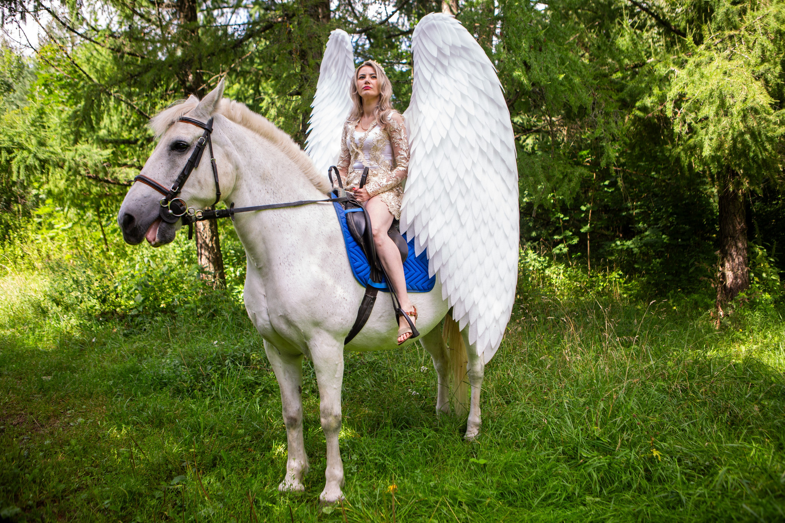 Прогулка на лошади. Репортажный, семейный, свадебный, портретный фотограф