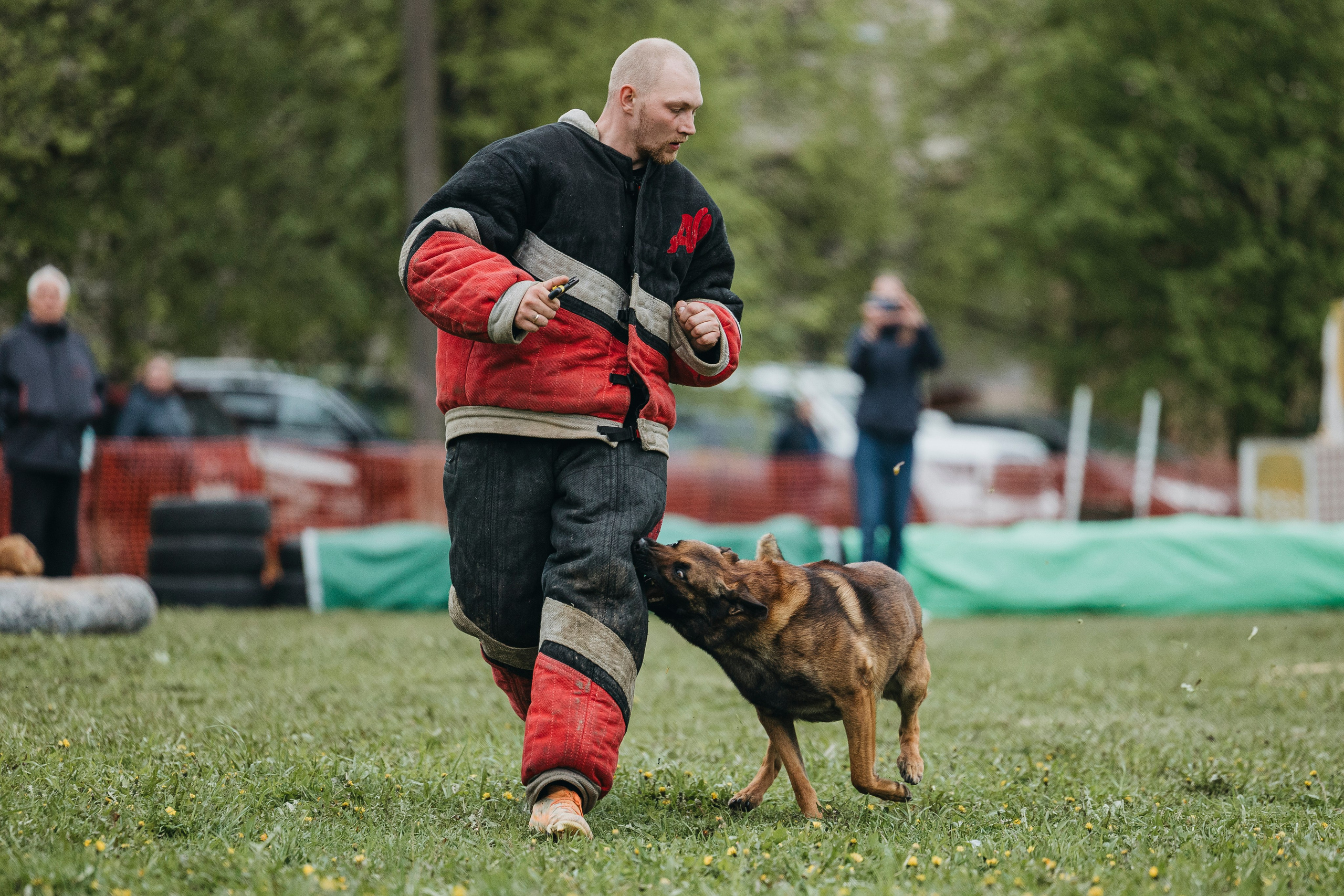 26.05.25 г. Пушкин квалификационные соревнования. Фотограф-анималист Анна Маринич