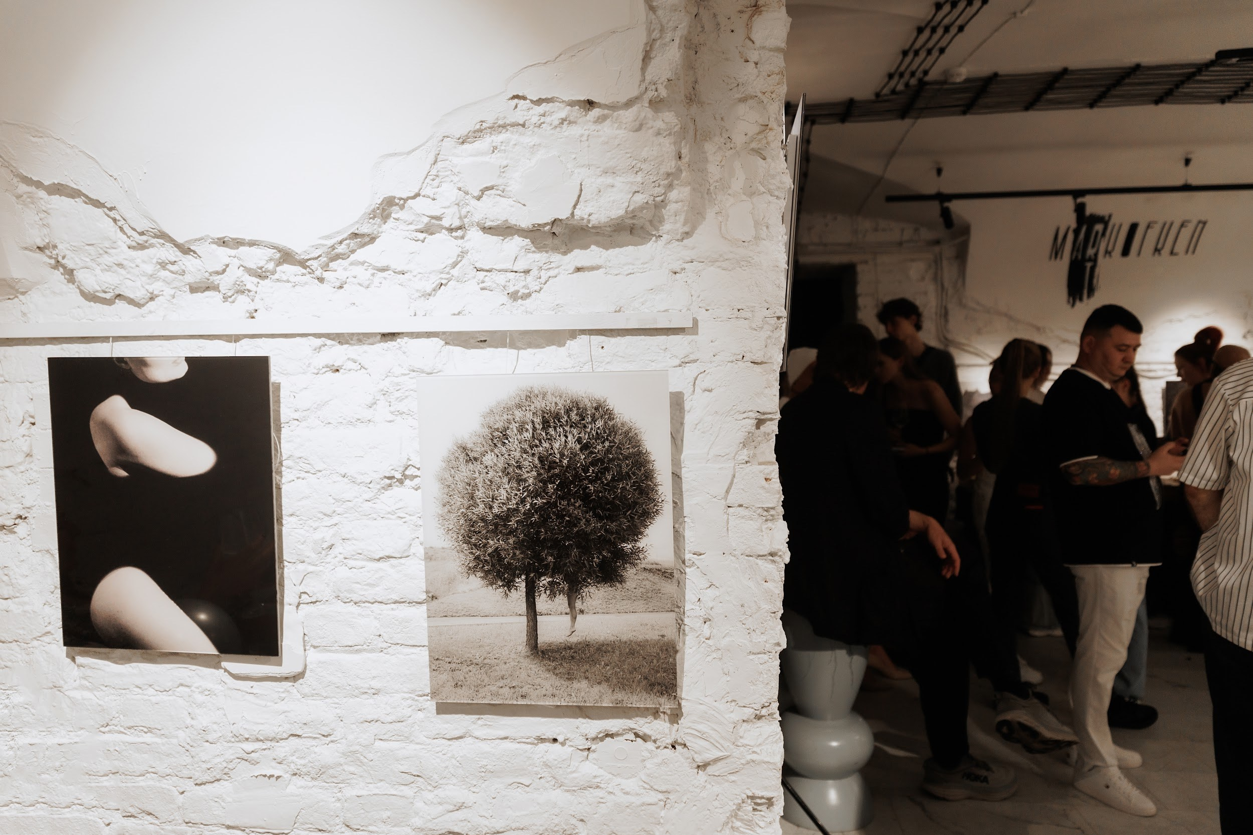 Персональная фотовыставка фотографа. Организация фотовыставок в Петербурге и Москве, MFamilia (МФамилия)