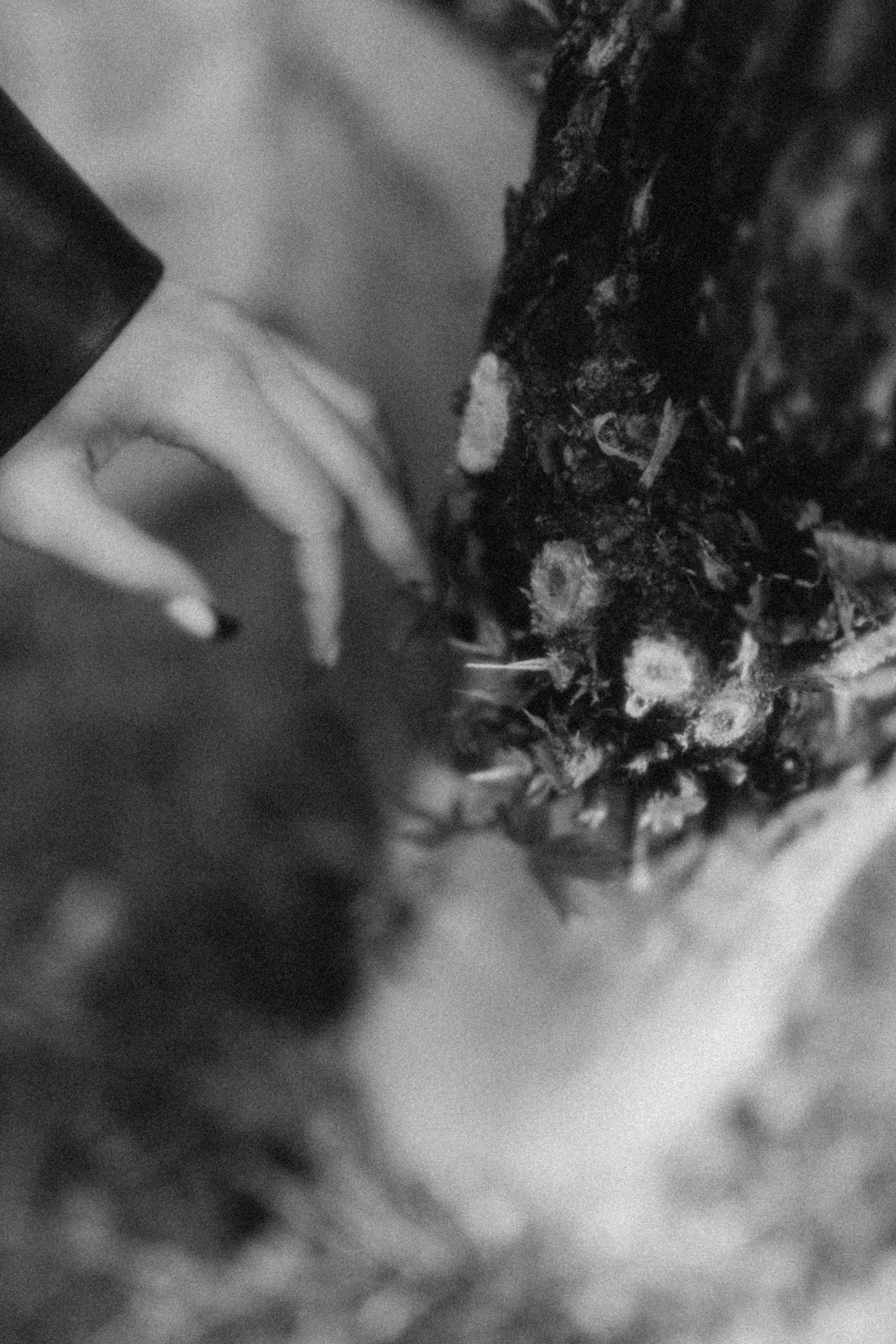 Polina. Фотограф города Уральск Ольга Василец