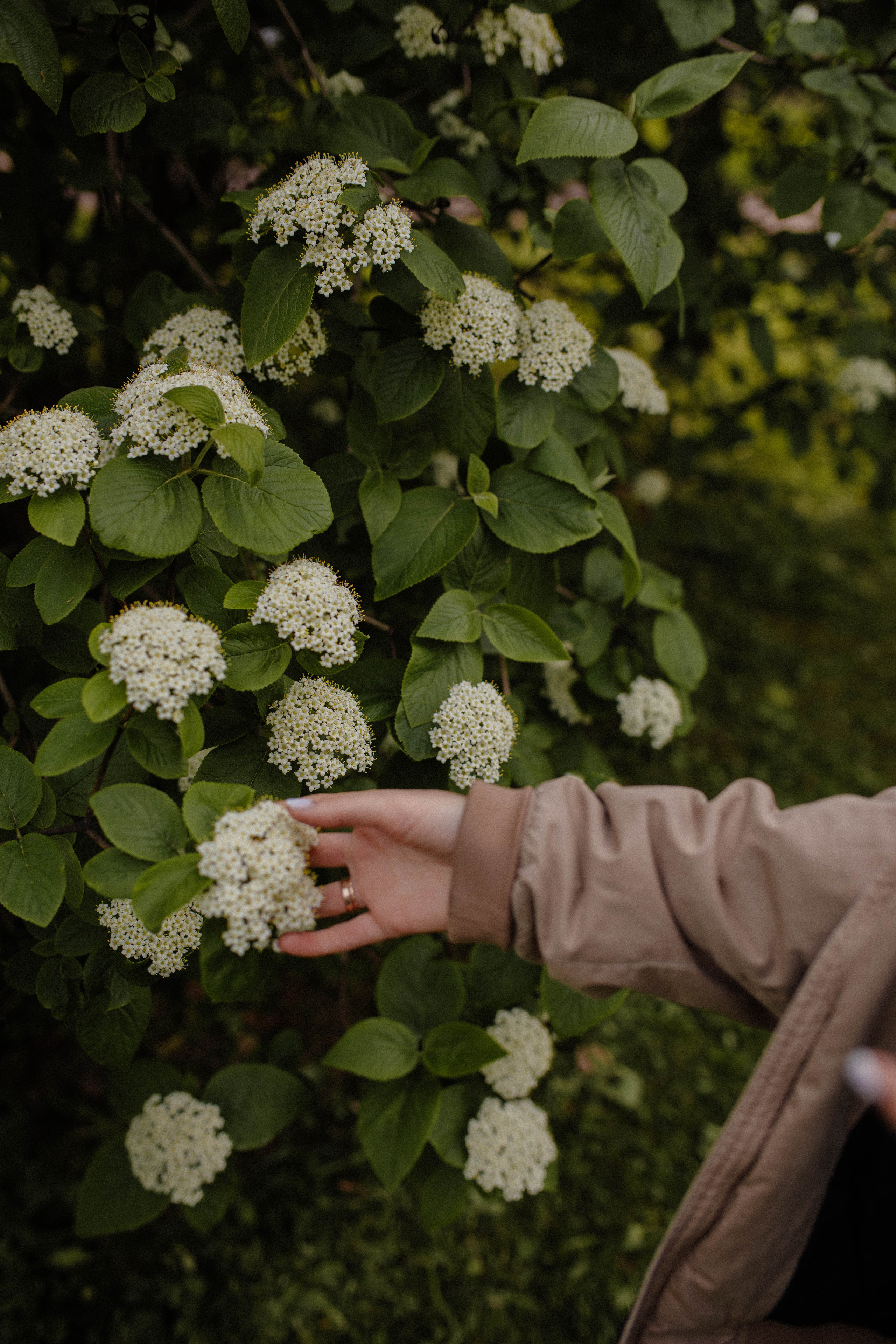 Julie. Фотограф города Уральск Ольга Василец