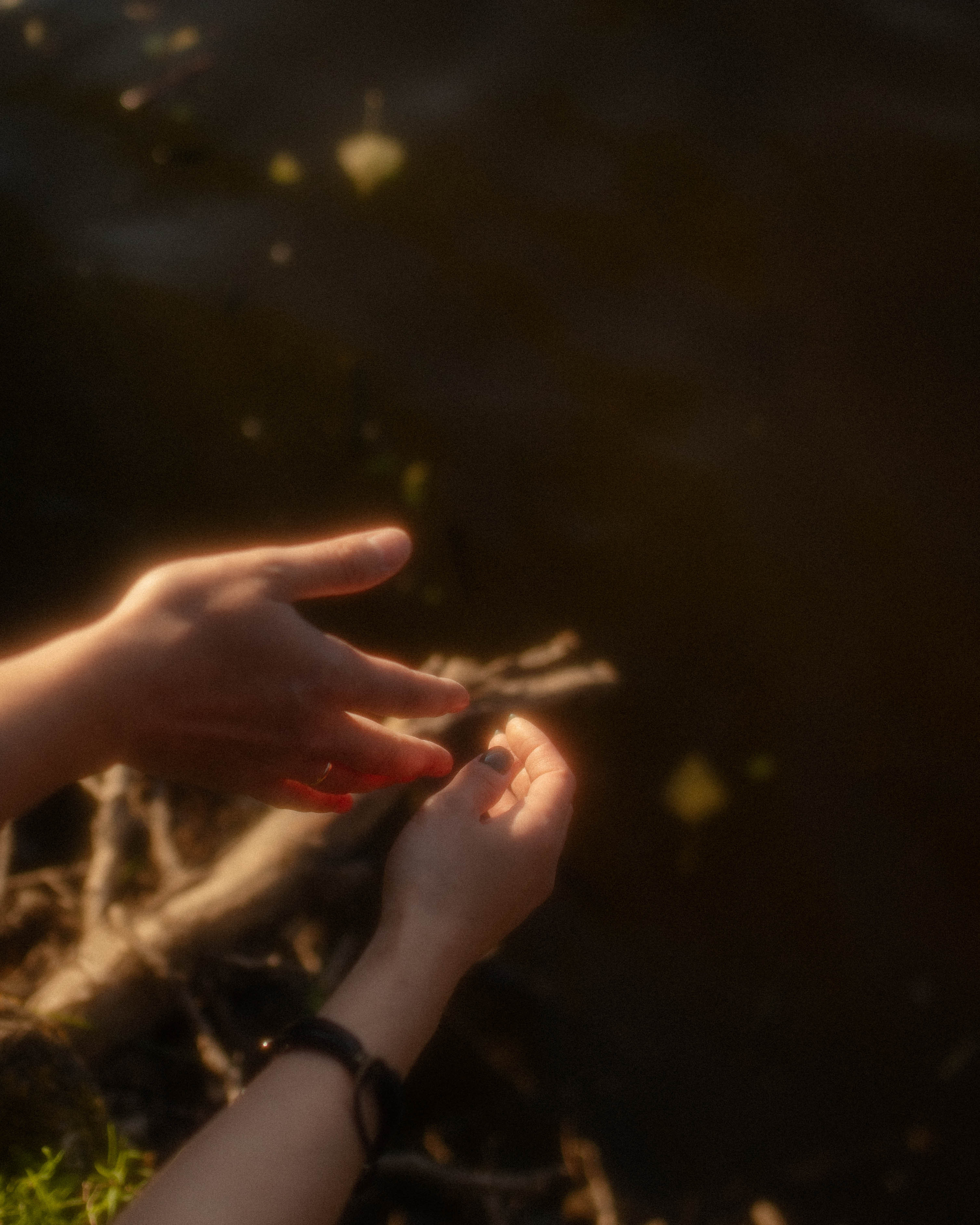 Laura&Damir. Фотограф города Уральск Ольга Василец