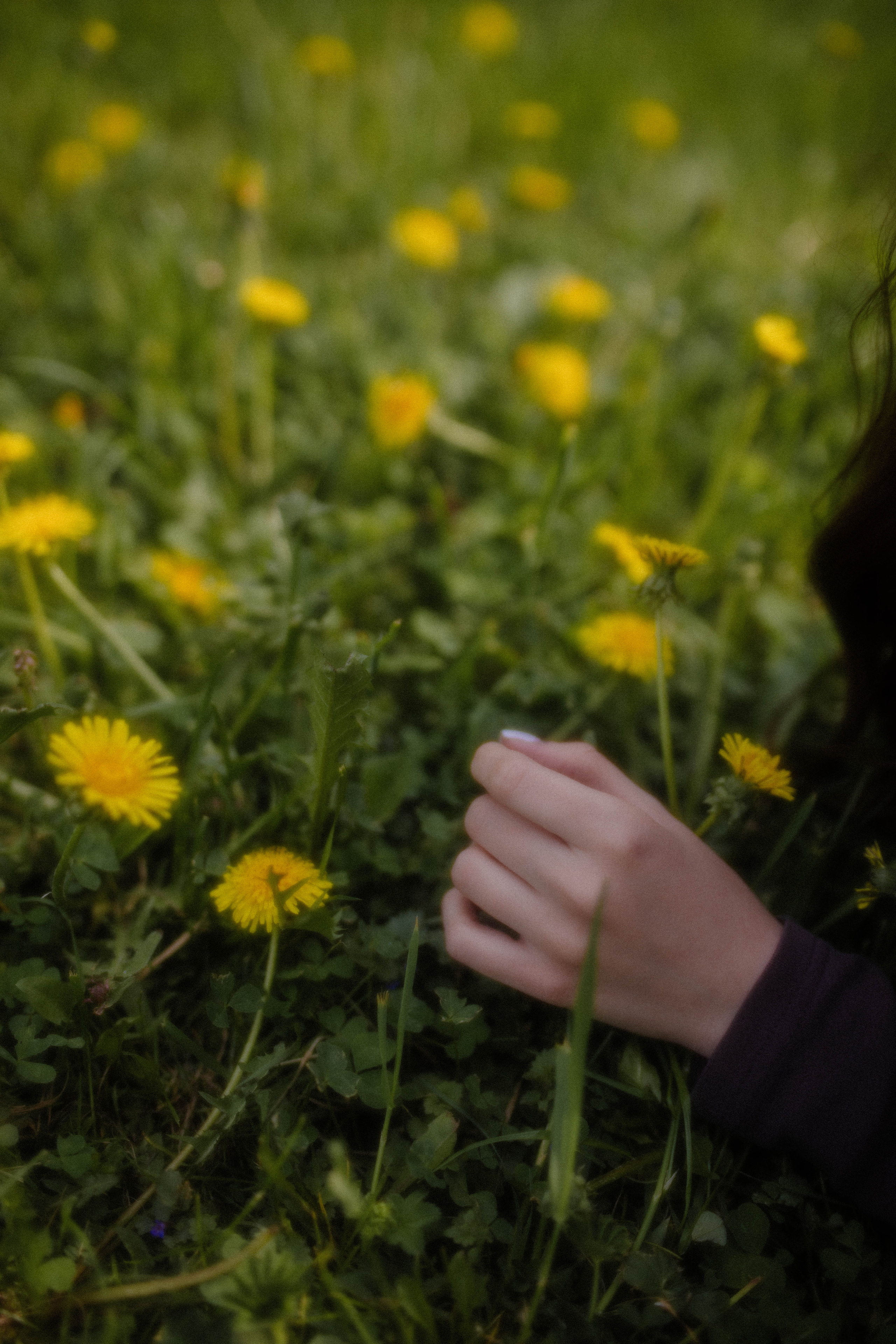 Julie. Фотограф города Уральск Ольга Василец