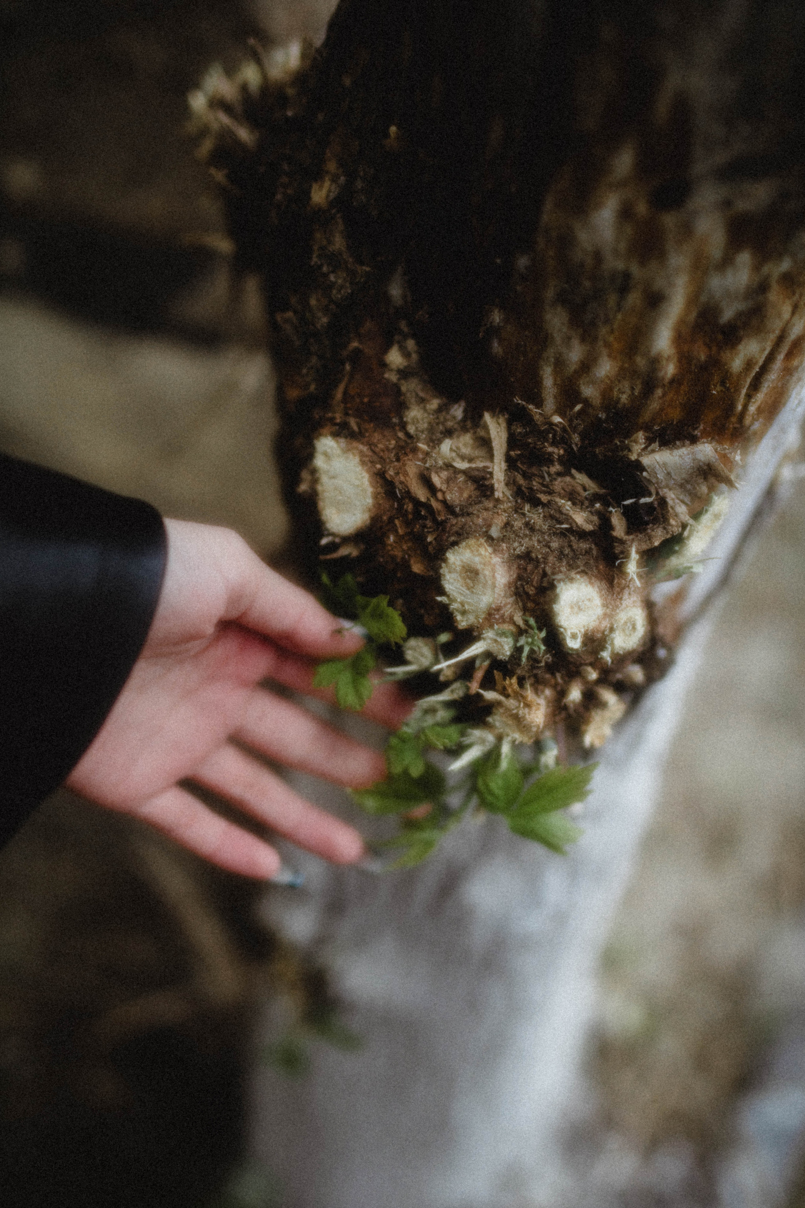 Polina. Фотограф города Уральск Ольга Василец