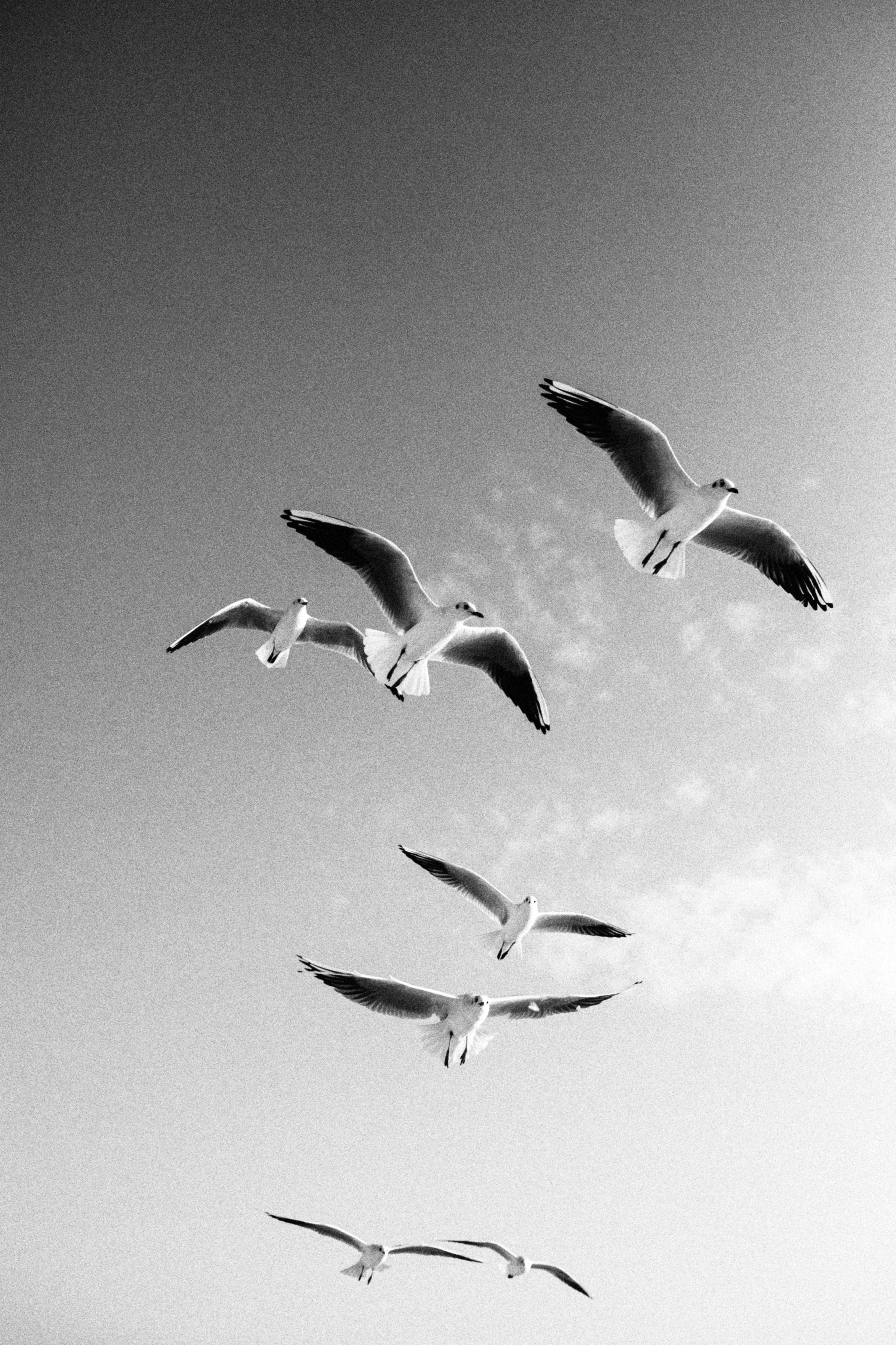 Dubai lovestory🌌. Фотограф города Уральск Ольга Василец