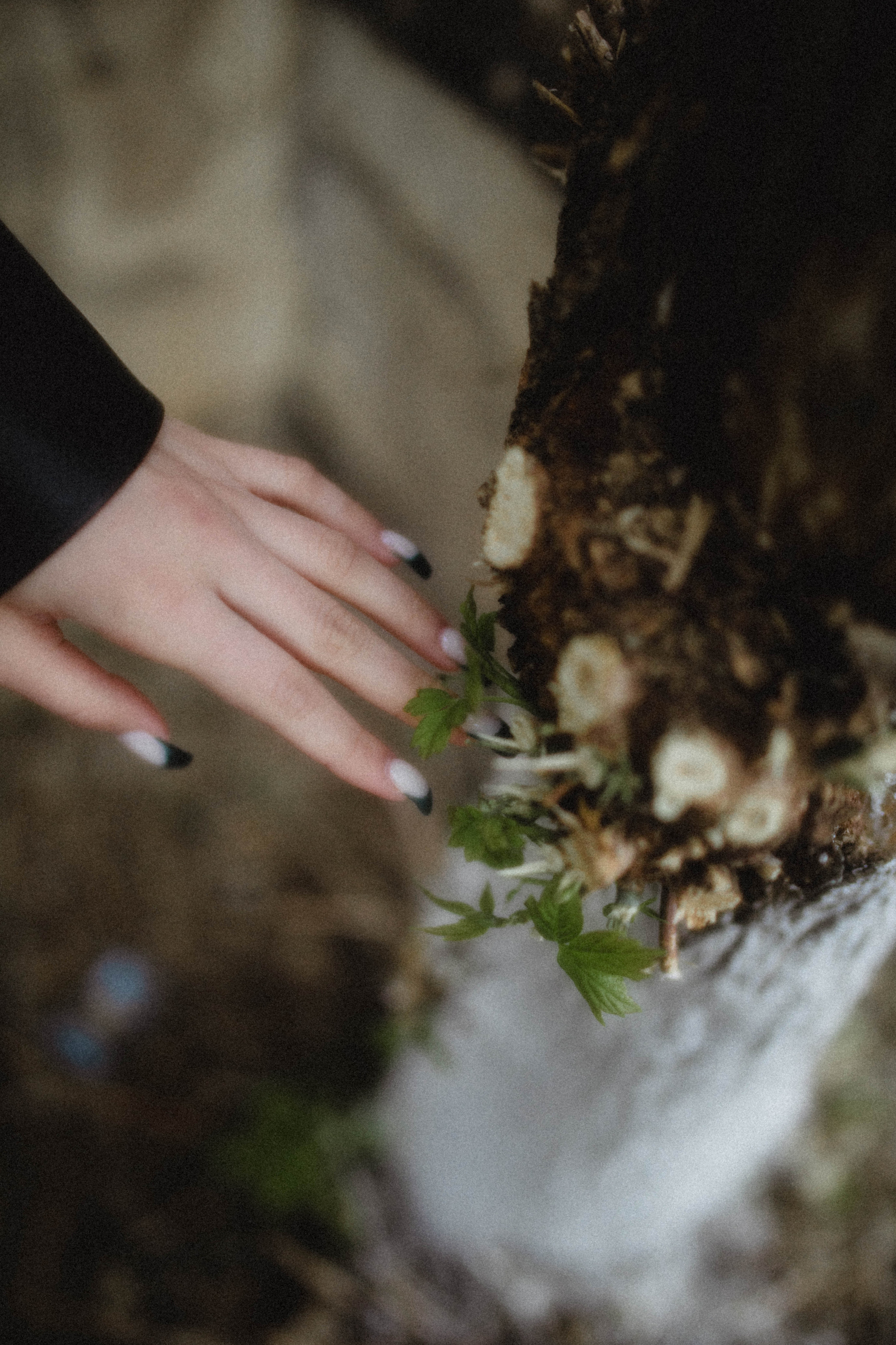 Polina. Фотограф города Уральск Ольга Василец