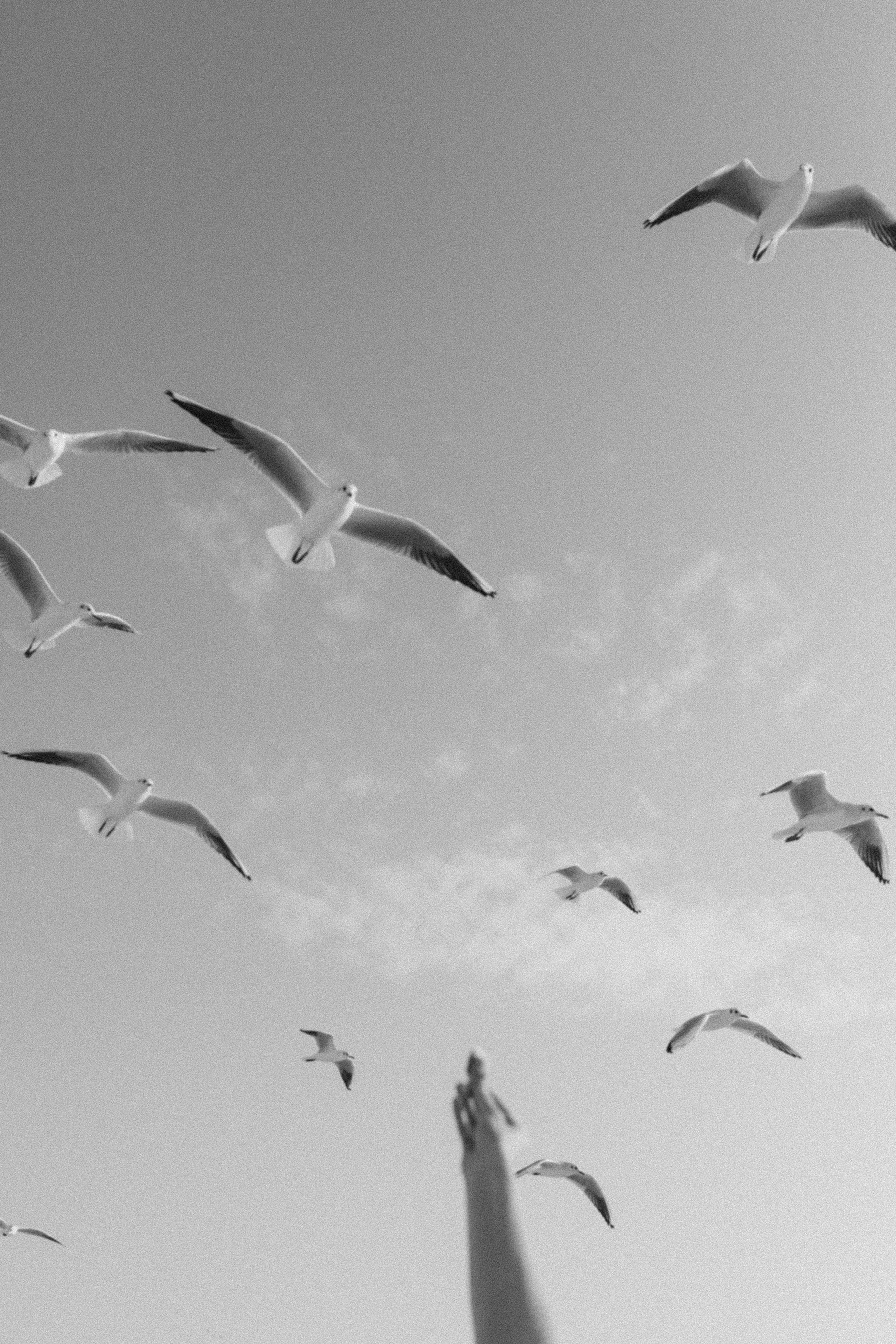 Dubai lovestory🌌. Фотограф города Уральск Ольга Василец