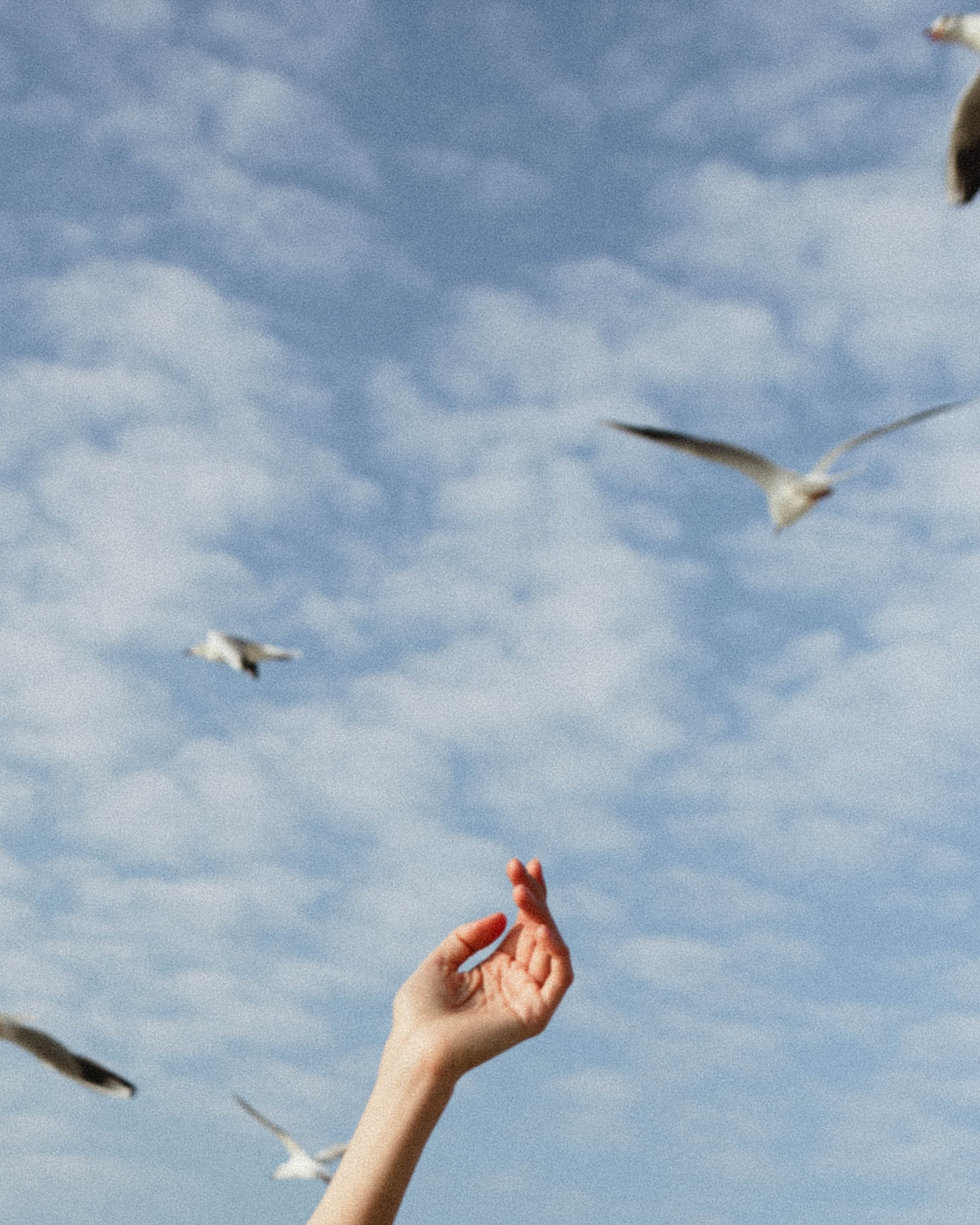 Dubai lovestory🌌. Фотограф города Уральск Ольга Василец