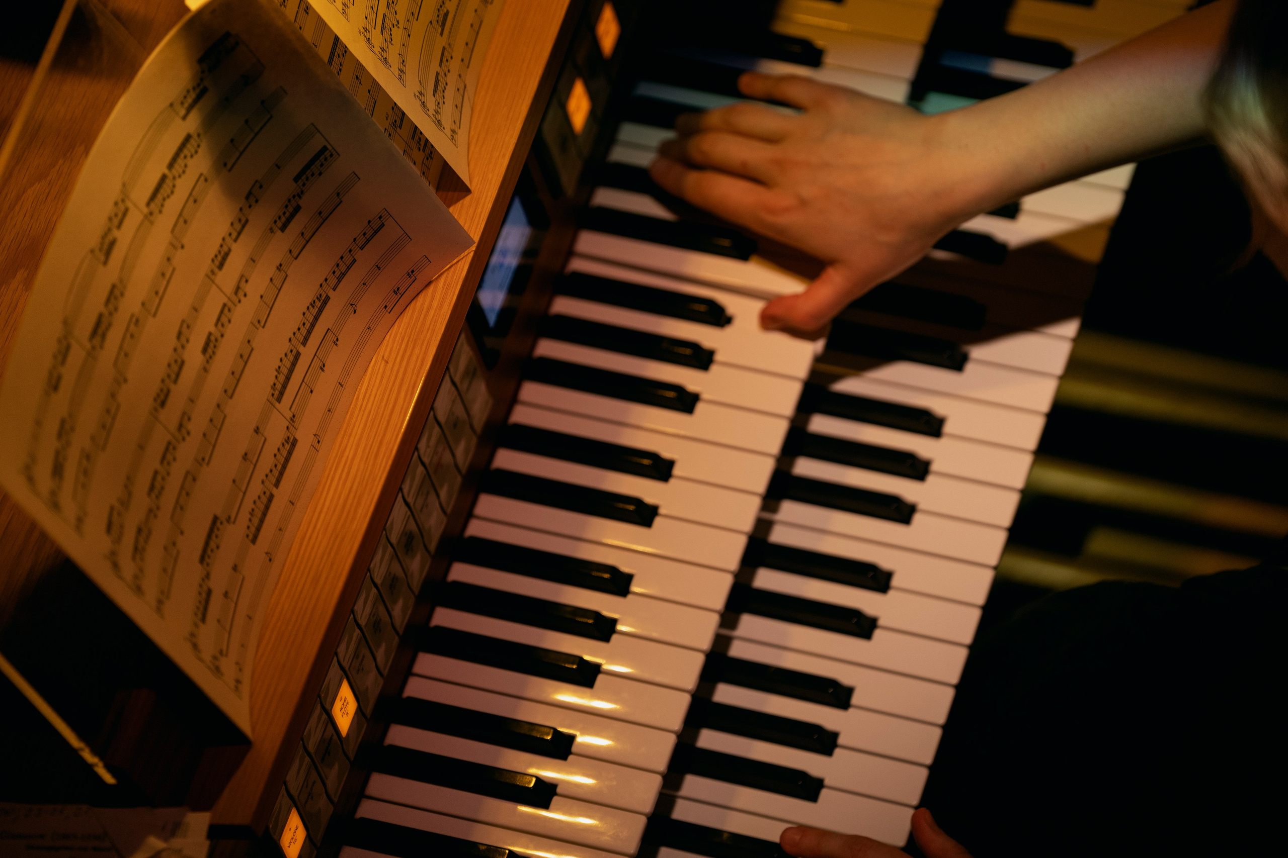 Amadeus Concert. Jaani Kirik. Фотограф Ирина Соколенко Санкт-Петербург