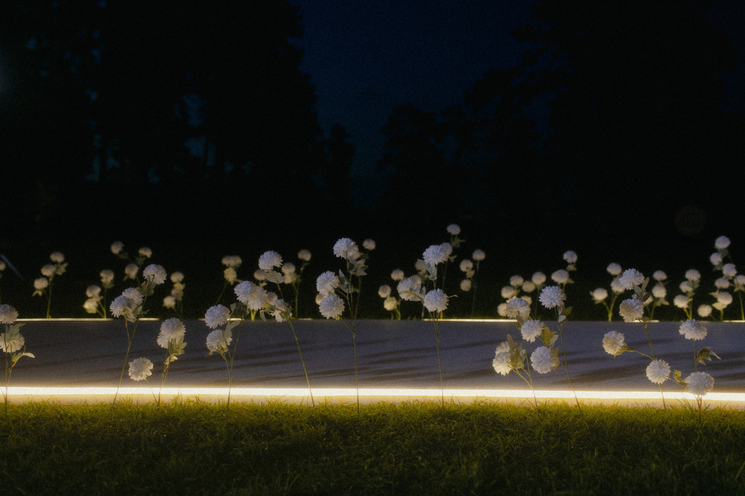 Николай и Елена. Свадебный фотограф Артак Костанян