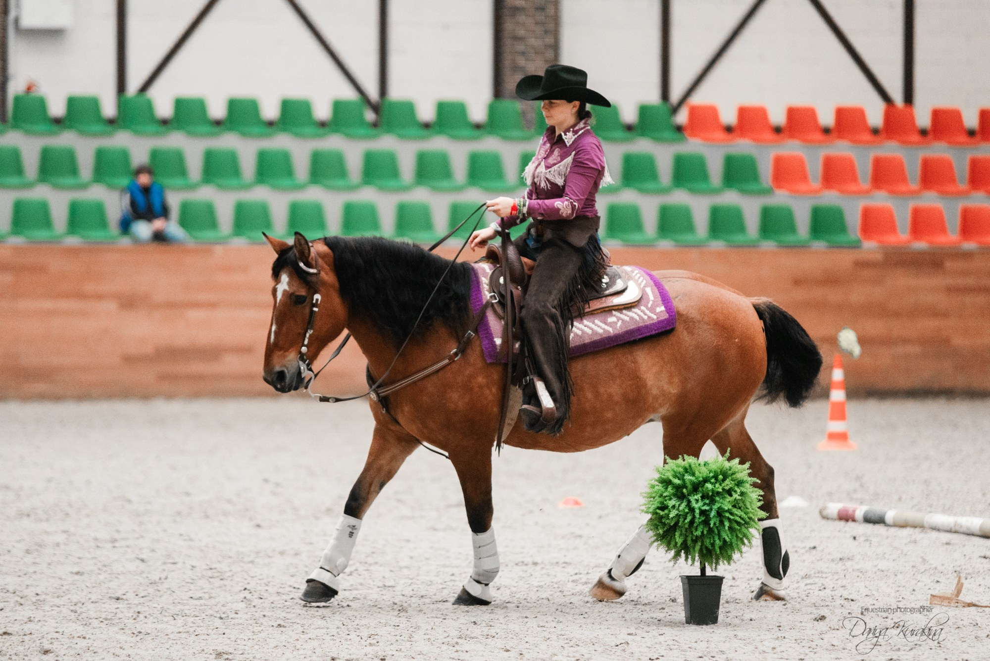 8-я международная выставка Конная Россия. Конный фотограф Куракина Дарья • Фотосессии с лошадьми