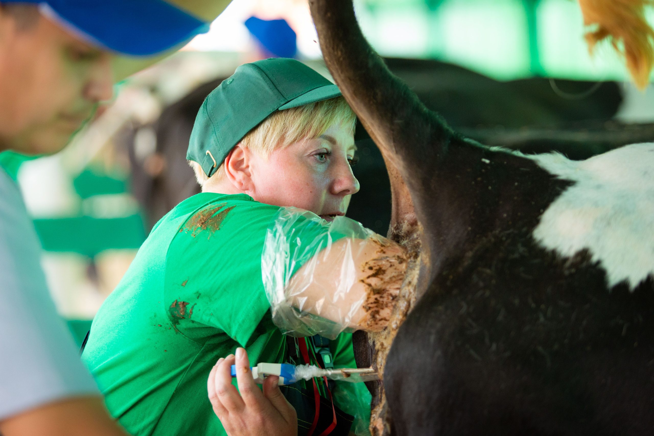 Конкурс операторов осеменения коров [17-18 августа 2022 г.]. Фотограф Виноградов Константин