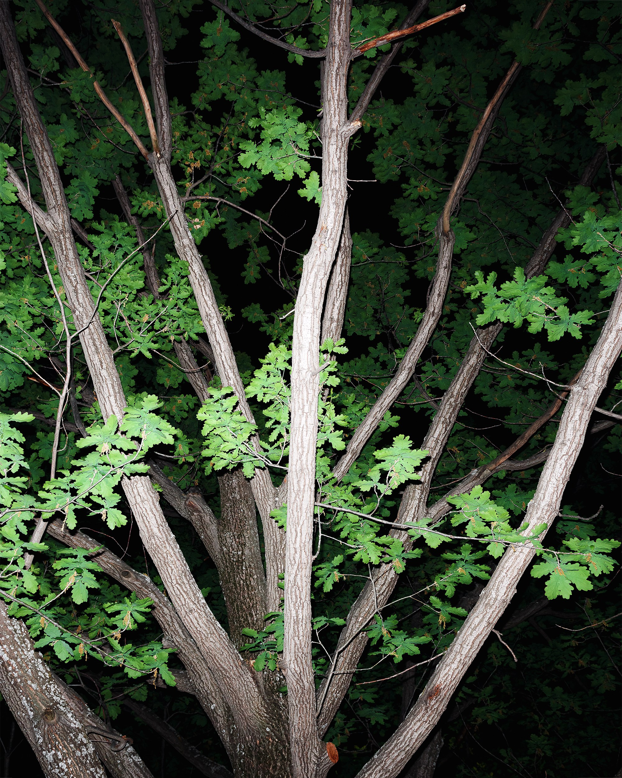 RED STREET. Фотограф Алматы | Весь мир — Никита Колодин