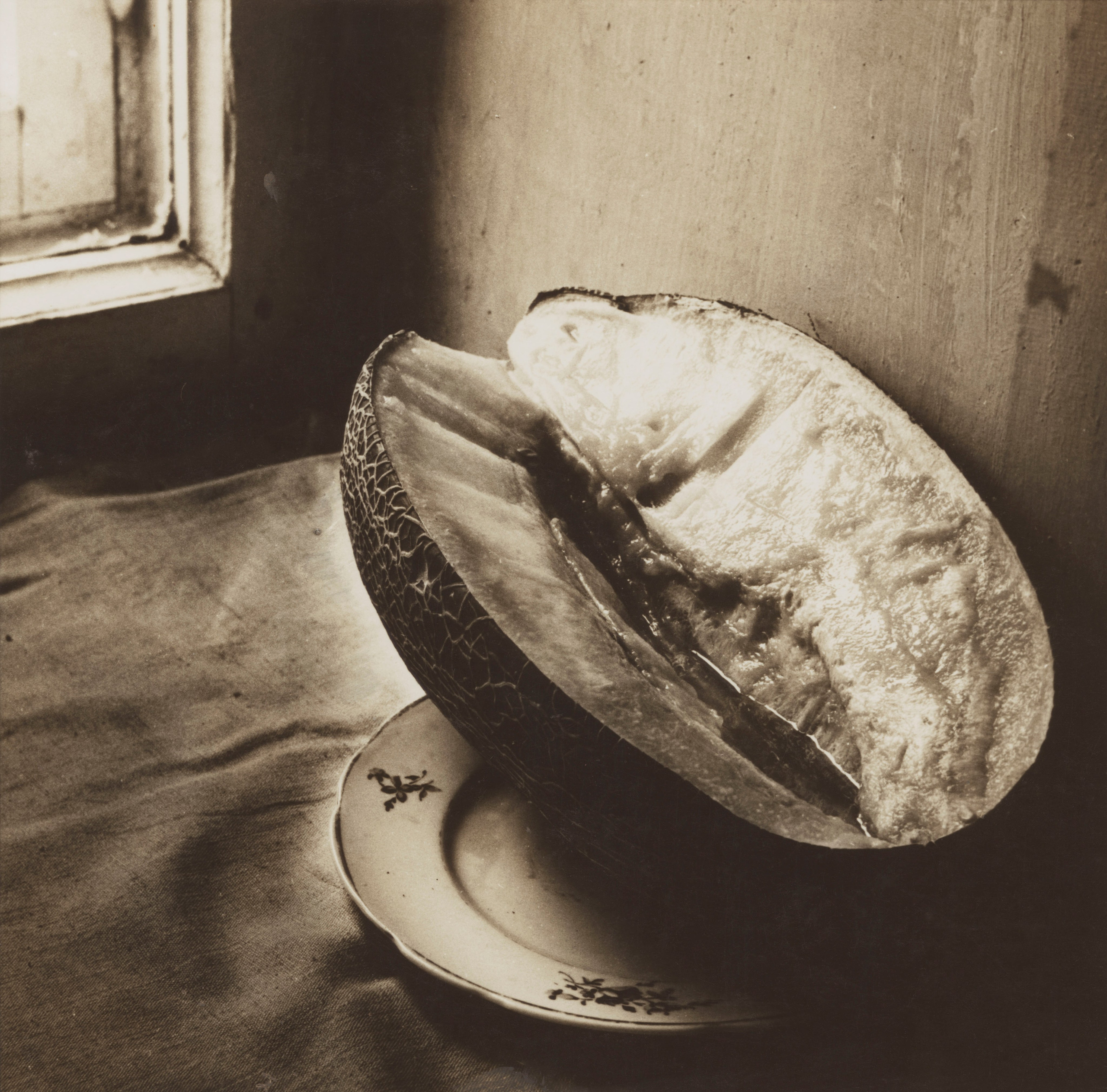 Sepia. Gueorgui Pinkhassov