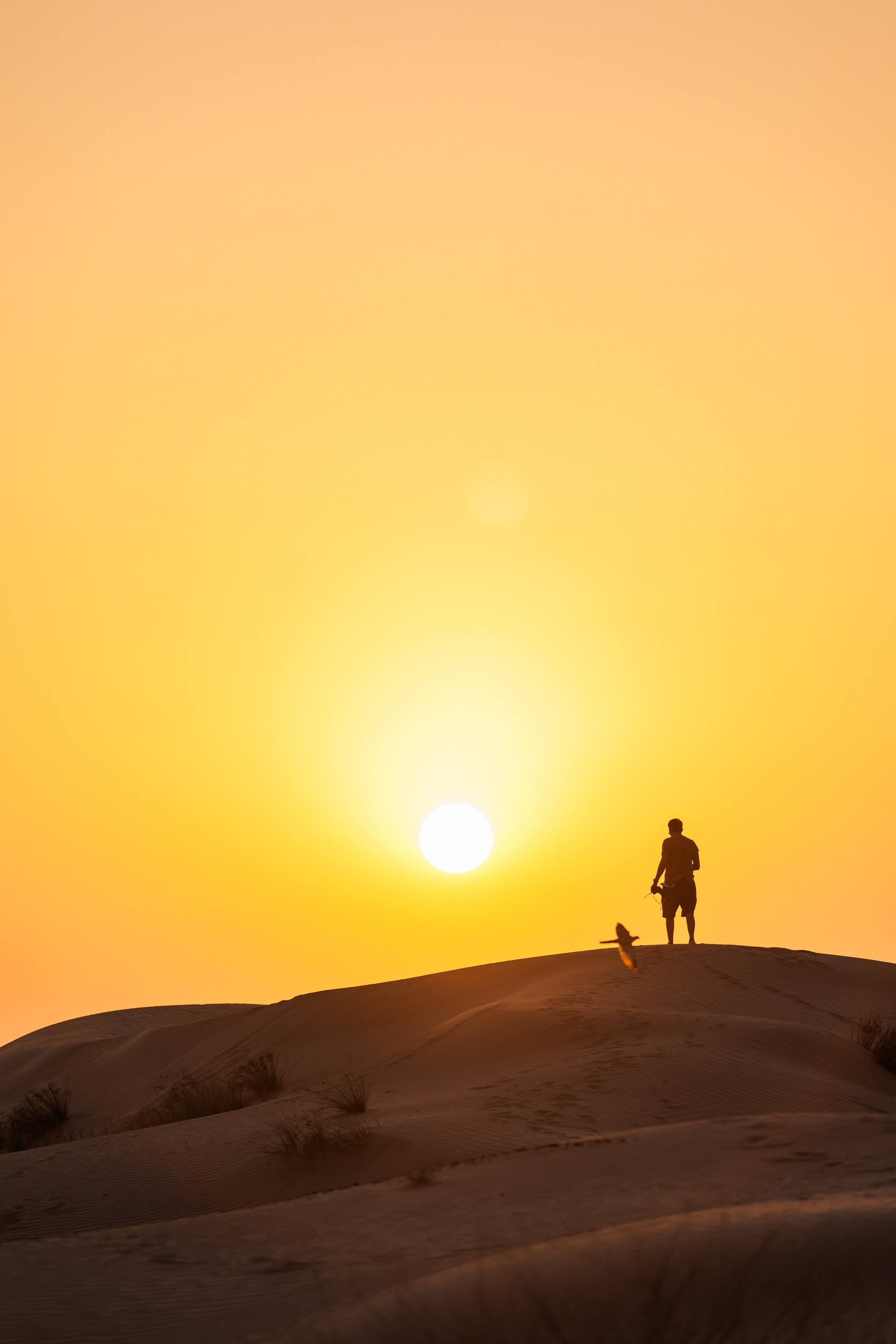 Dezert. Photographer in Saint-Petersburg and Moscow Max Spector