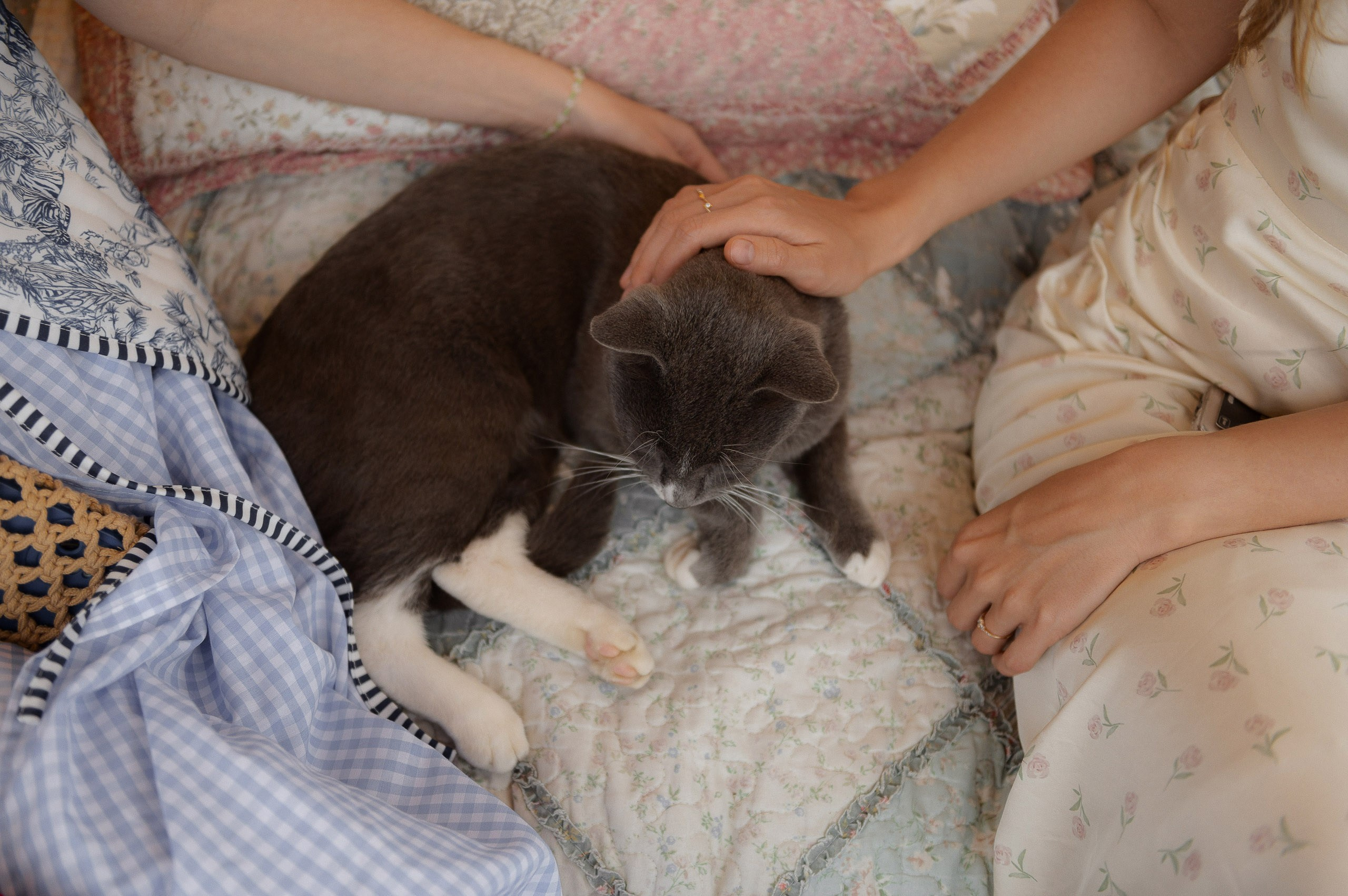 Зеленая тропа, уютная свадьба под дождем. Афина Ефимова. Свадебный фотограф Москва