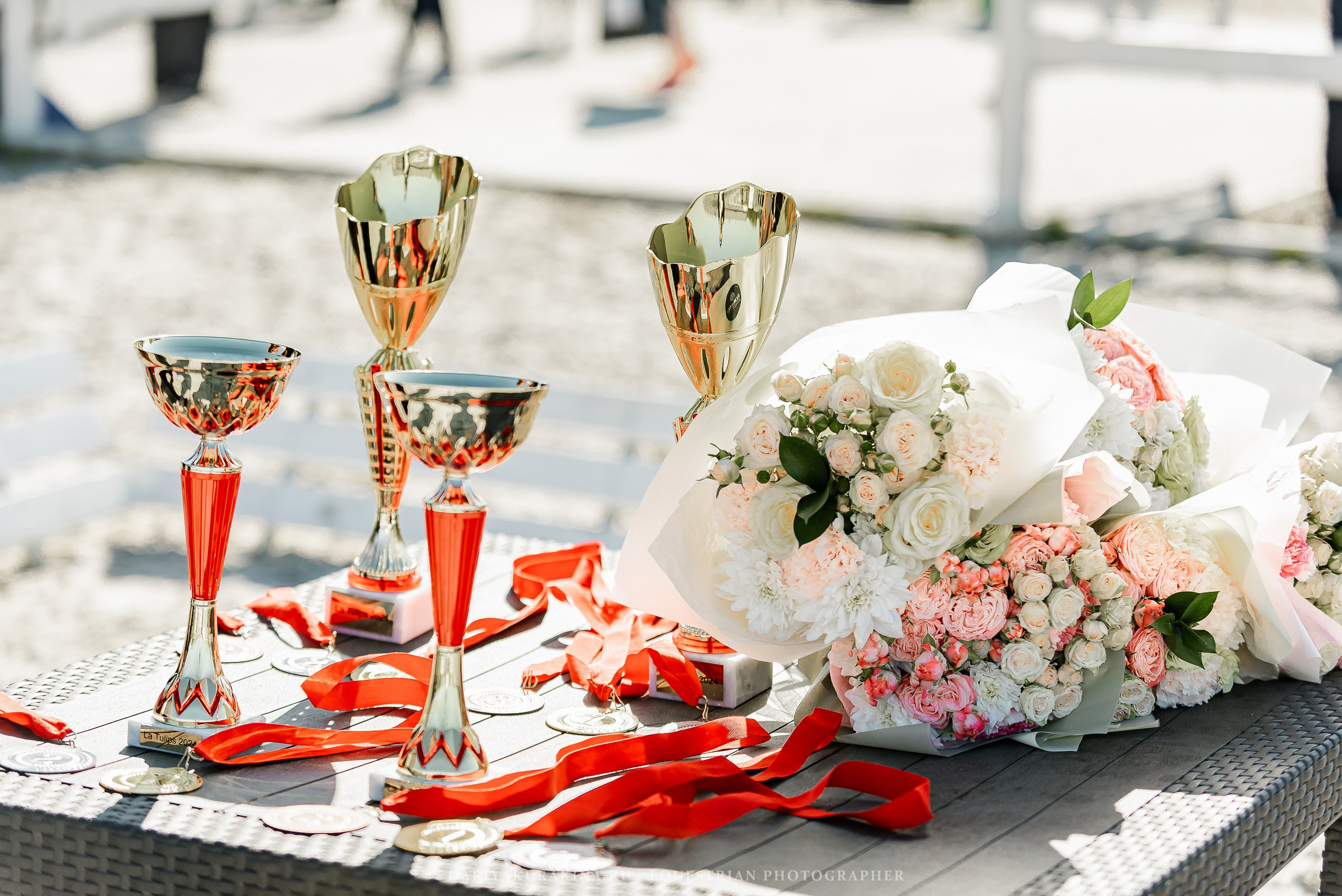 РЕПОРТАЖ МКК ВОЛЬТ «LA TULIPS». Конный фотограф Куракина Дарья • Фотосессии с лошадьми