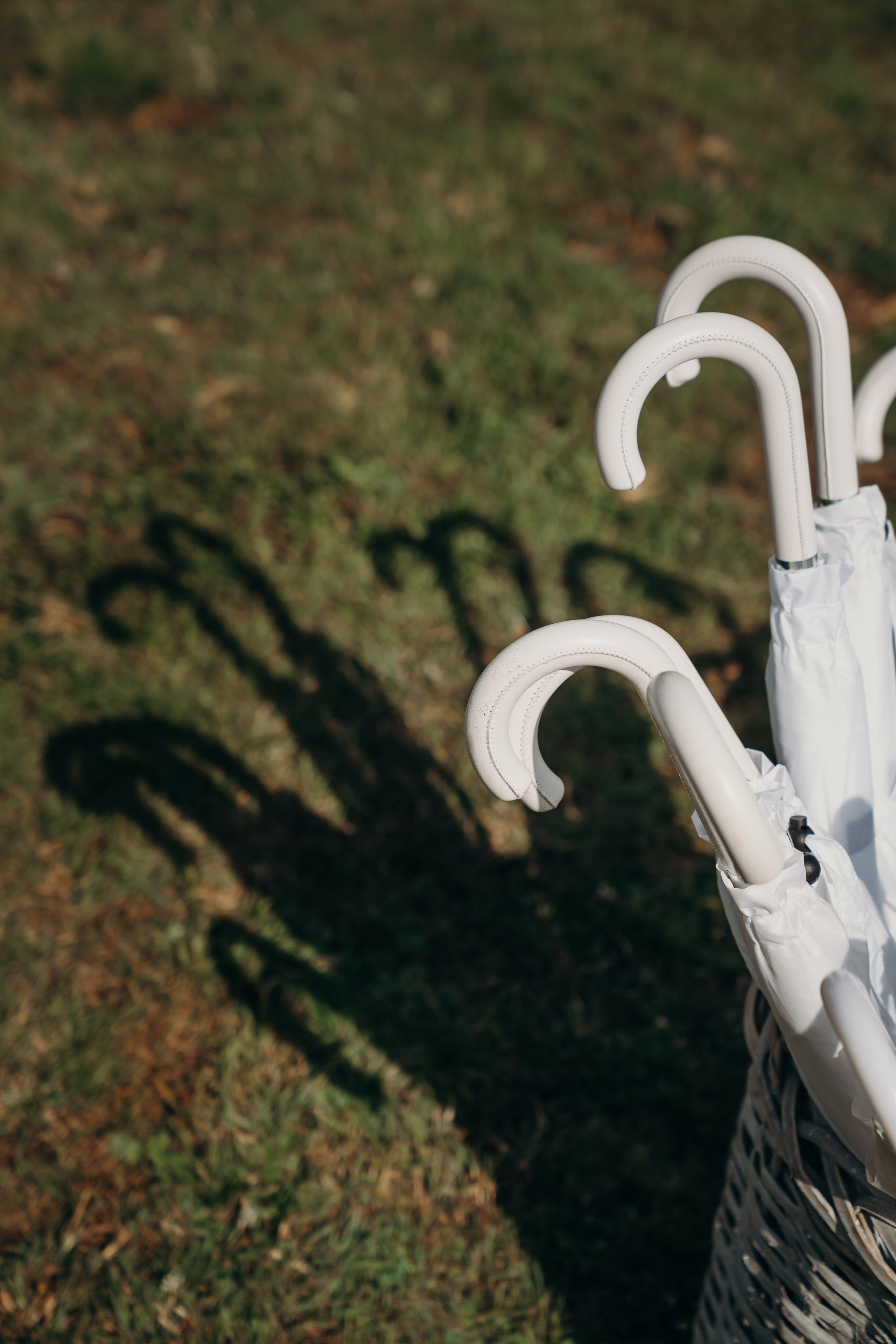 21 августа. Контентный и свадебный фотограф в Краснодаре и Сочи Елена Плотникова