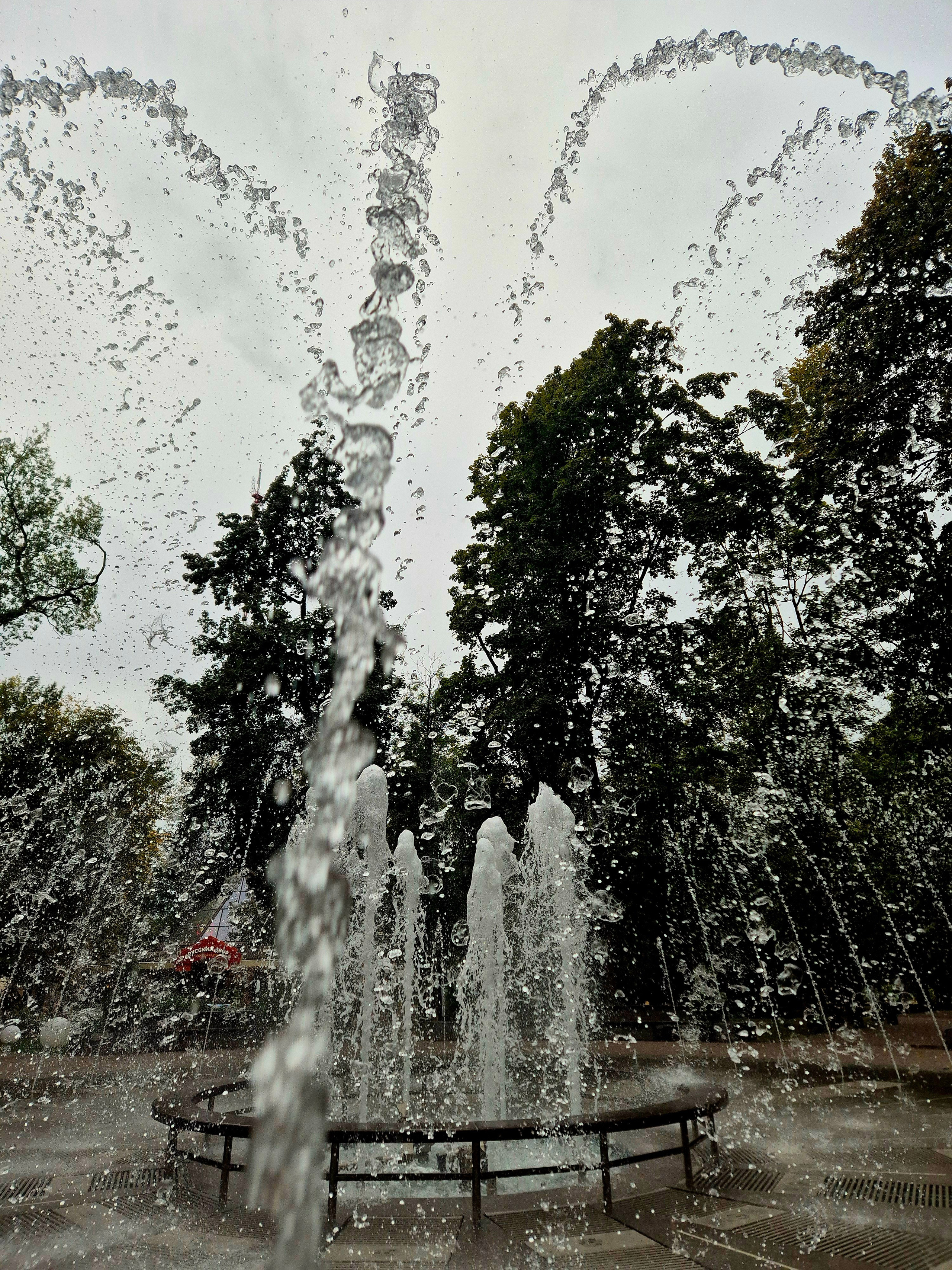 Сад Блонье, утром фонтан становится обычным, не музыкальным
