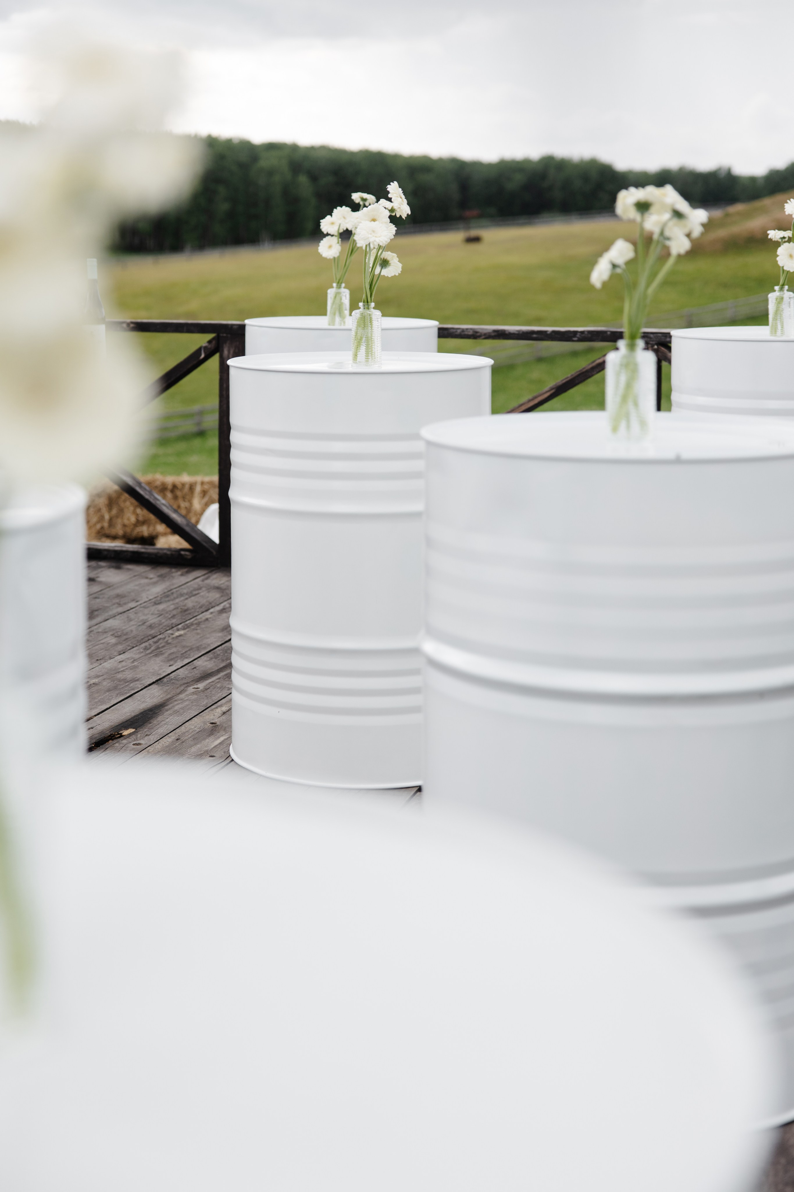 ГЕНДЕР ПАТИ. Фотограф в Красноярске