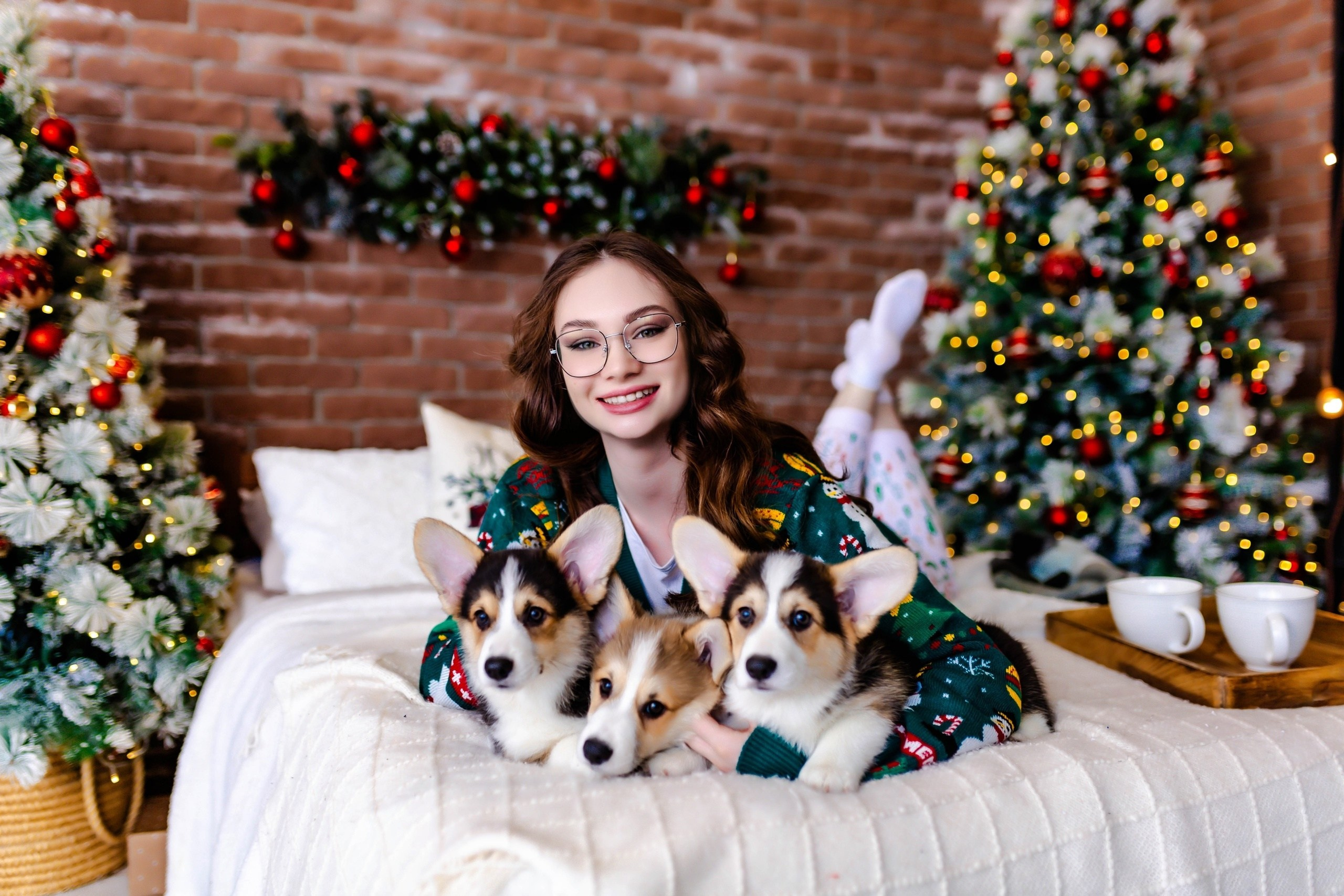 Фотосессия с Щеночками Корги Липецк. Свадебный и семейный фотограф Виолетта в Липецке