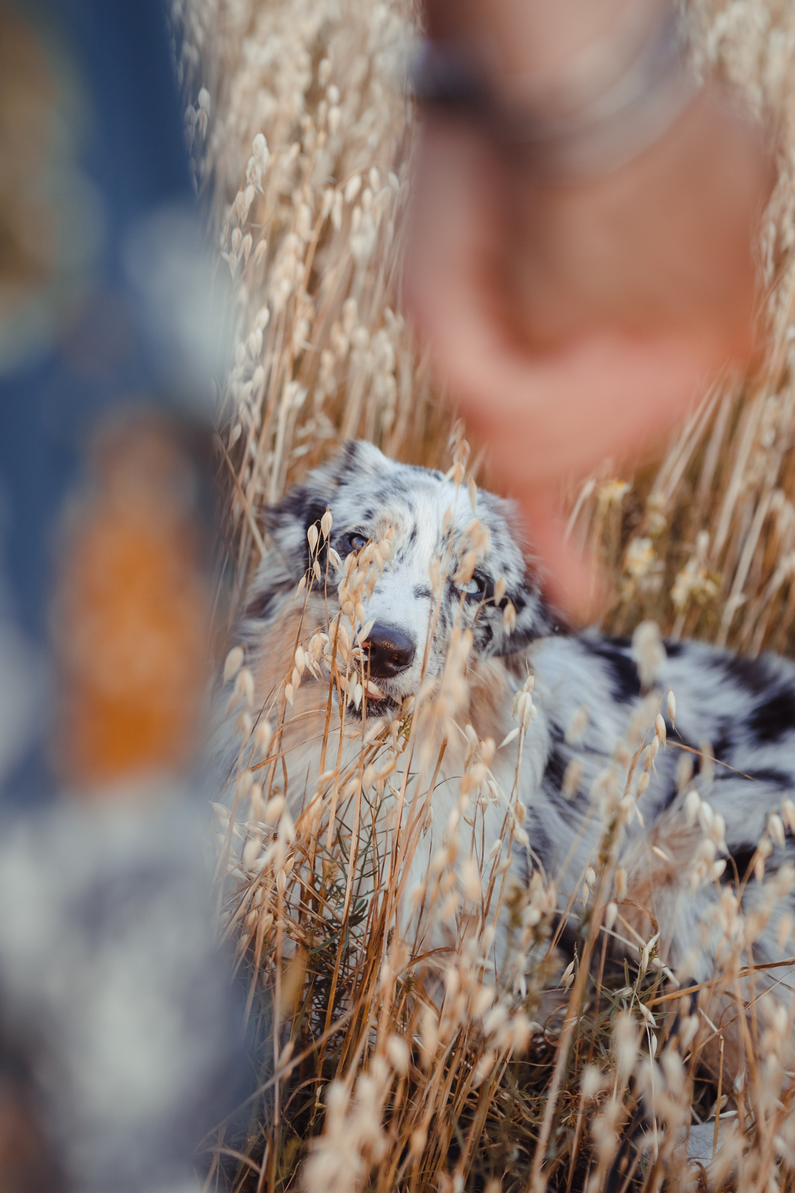 Mike. PHOTOGRAPHER romanoff-egor