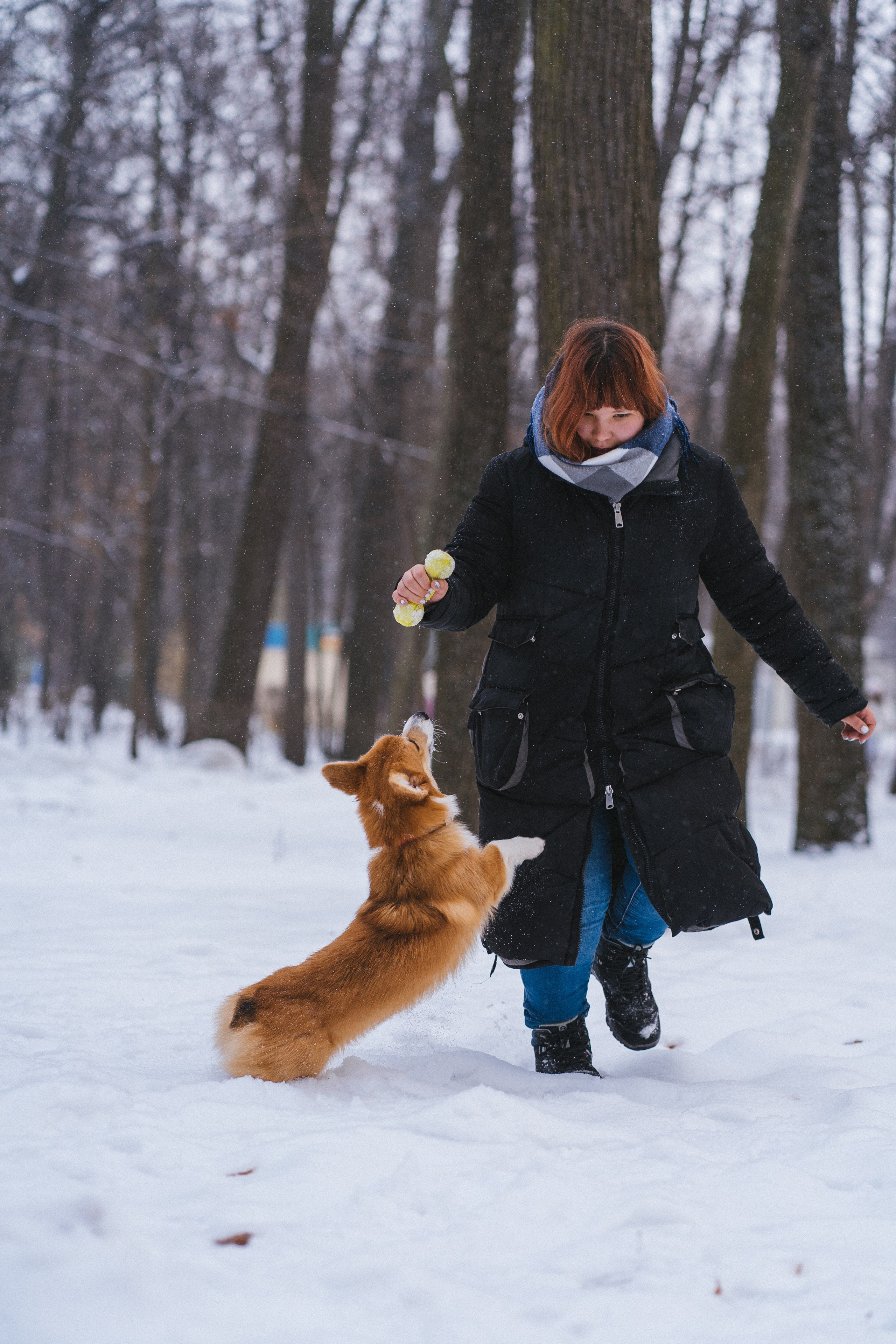 Агата и Лайк. Свадебный фотограф в Москве Анна Полушина