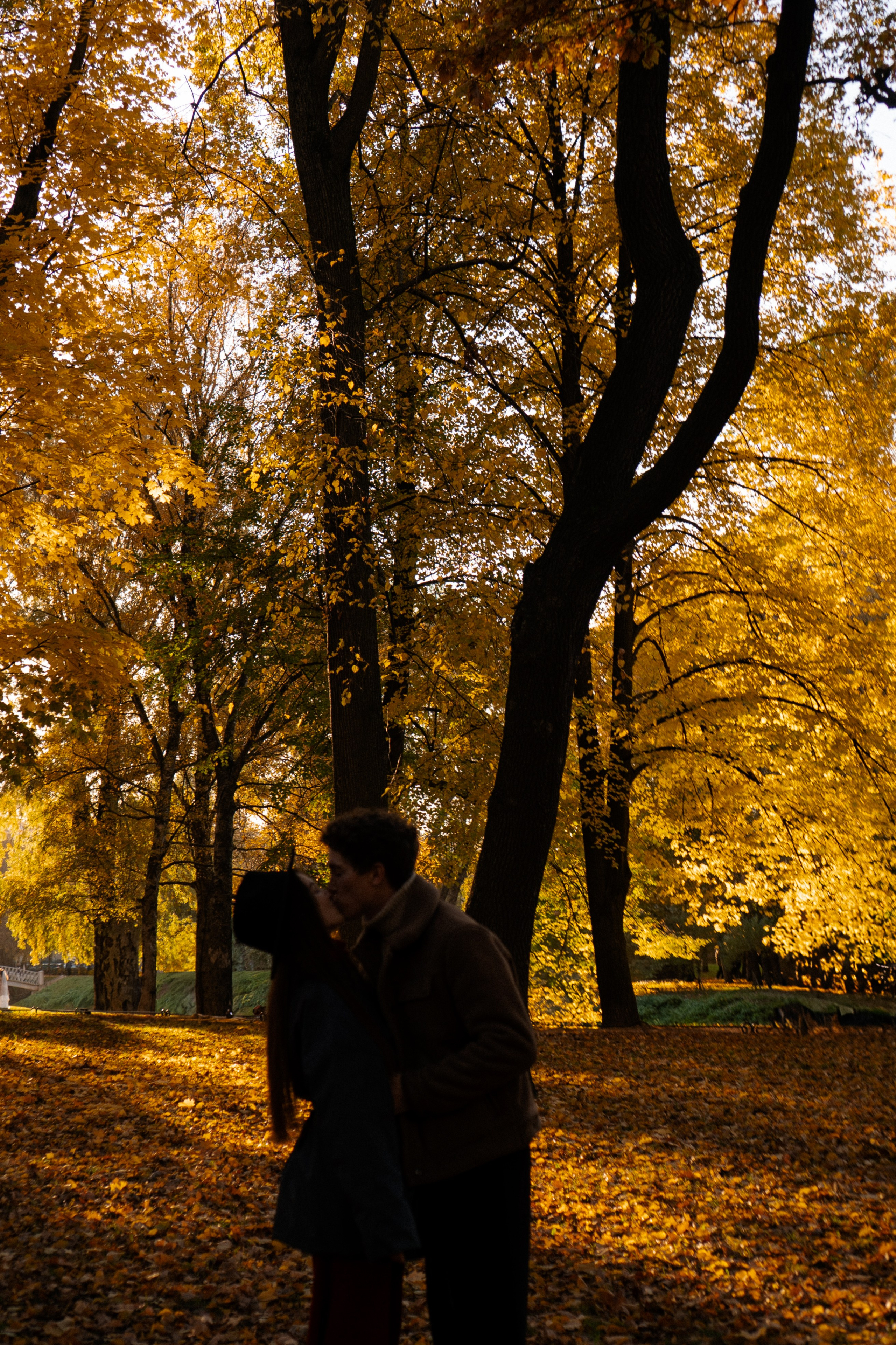 ОСЕННЯЯ ПРОГУЛКА. Профессиональный фотограф, Санкт-Петербург — Виктория Богомолова