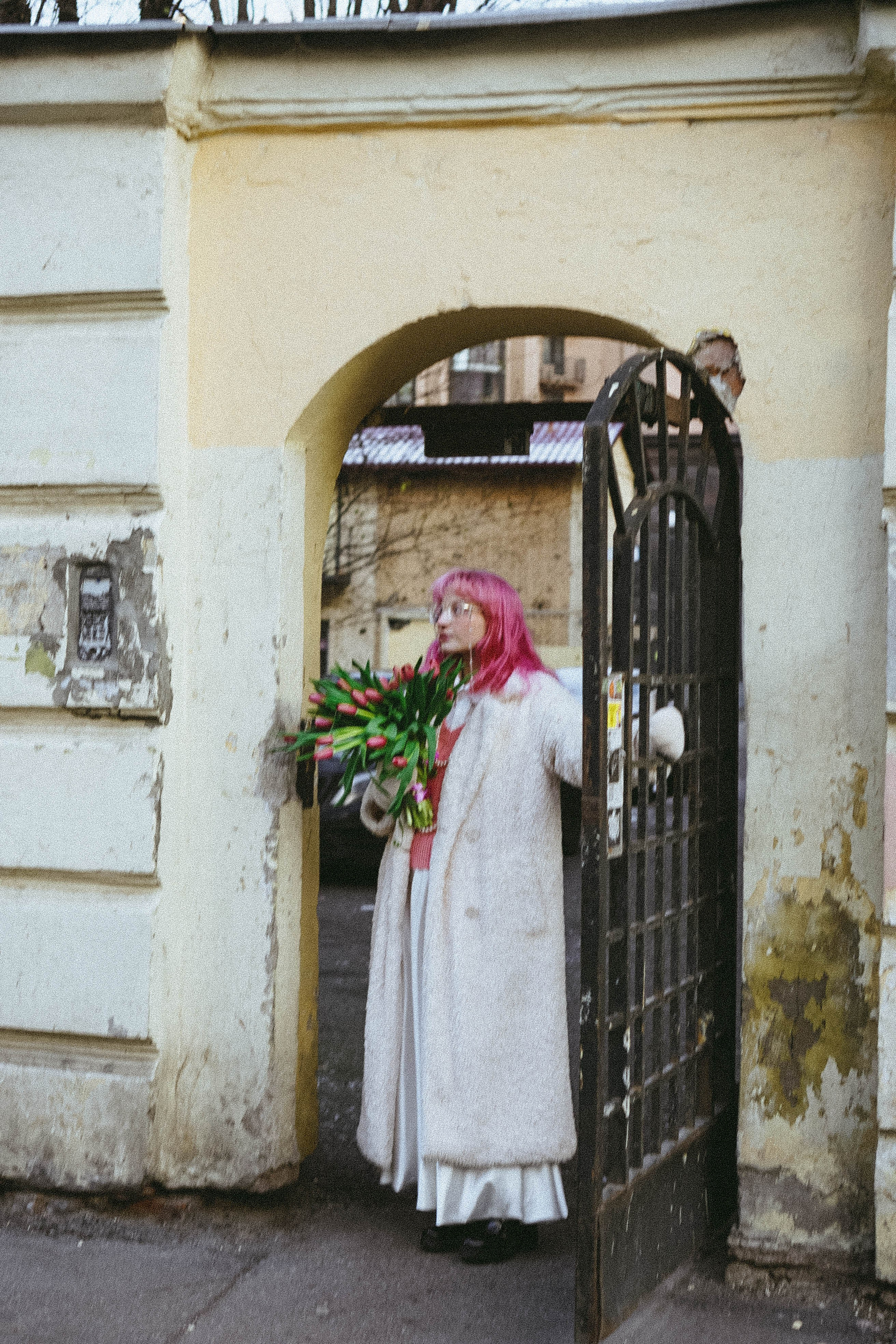 Тюльпаны. Профессиональный фотограф, Санкт-Петербург — Виктория Богомолова