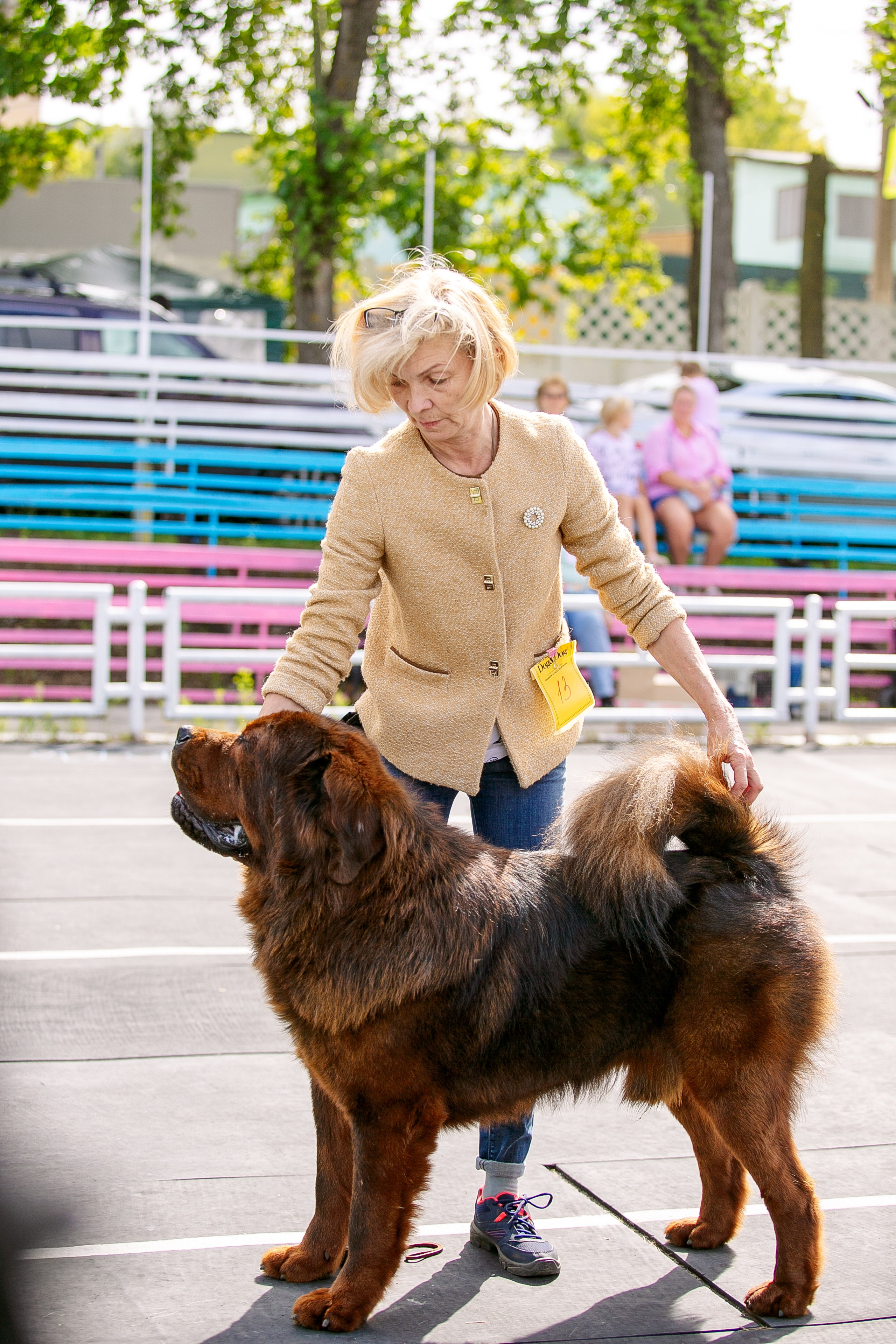 Окунулась вновь в атмосферу выставки…. Школьный фотограф в Туле Светлана Привезенцева