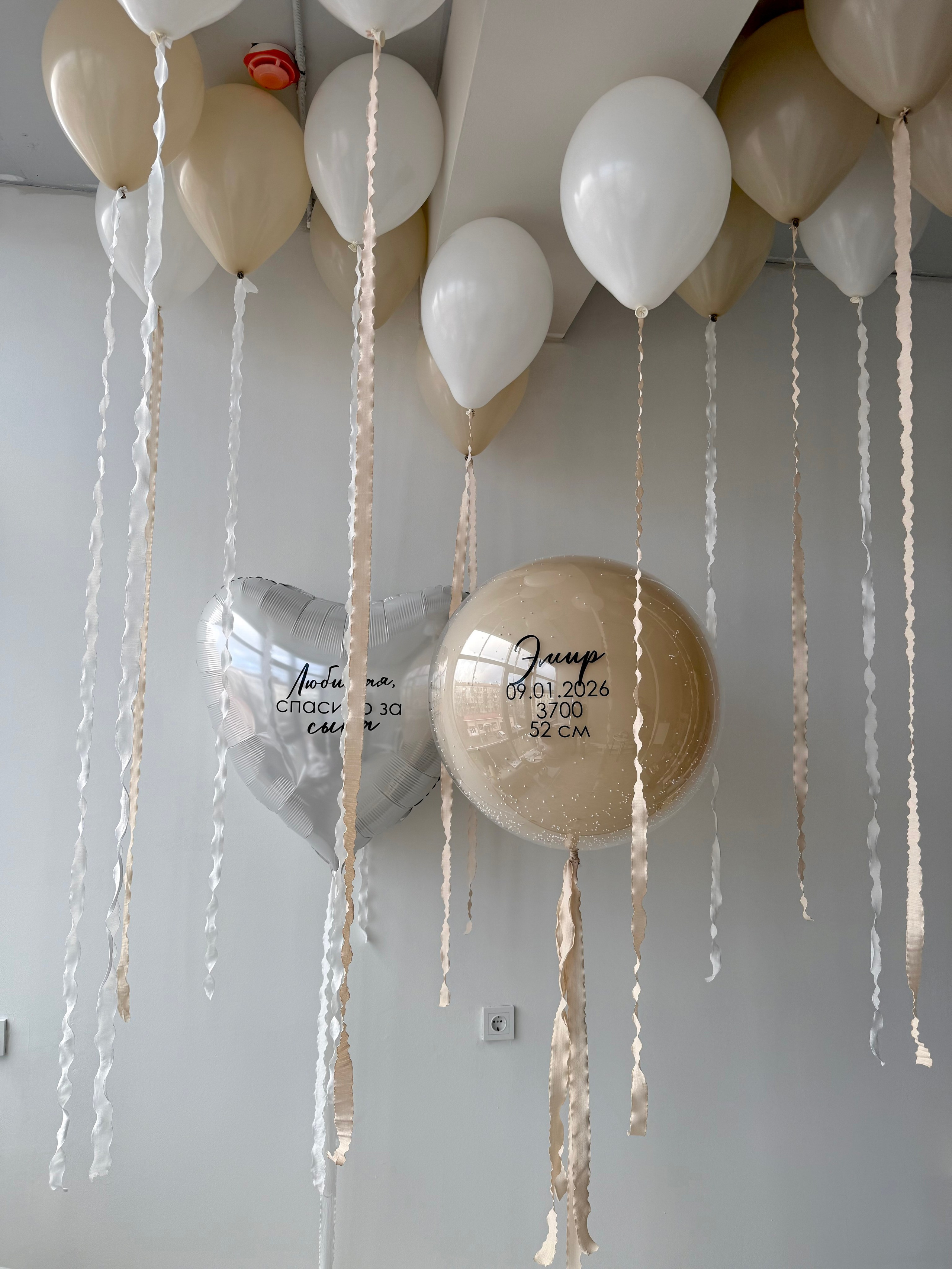 Выписка. Фабрика праздника