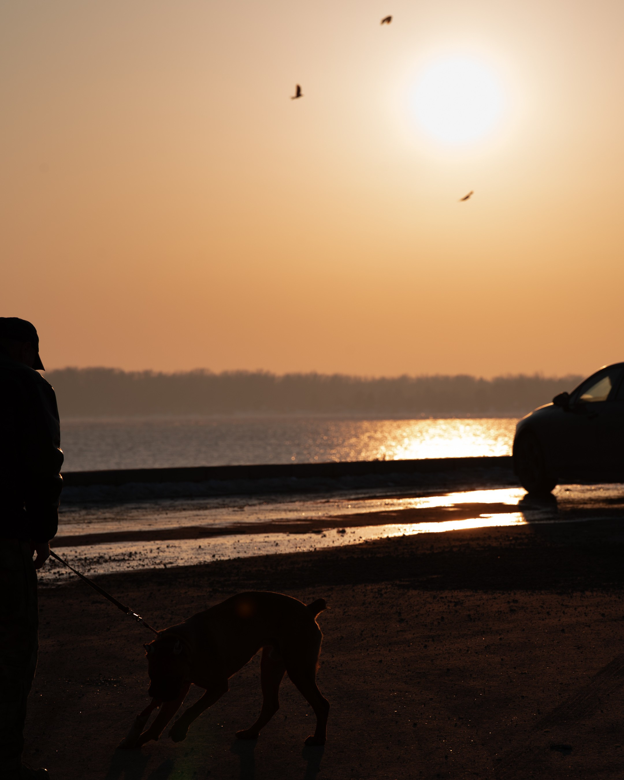 Sunset in Samara. Photographer in Moscow and Samara Anna Chistiakova