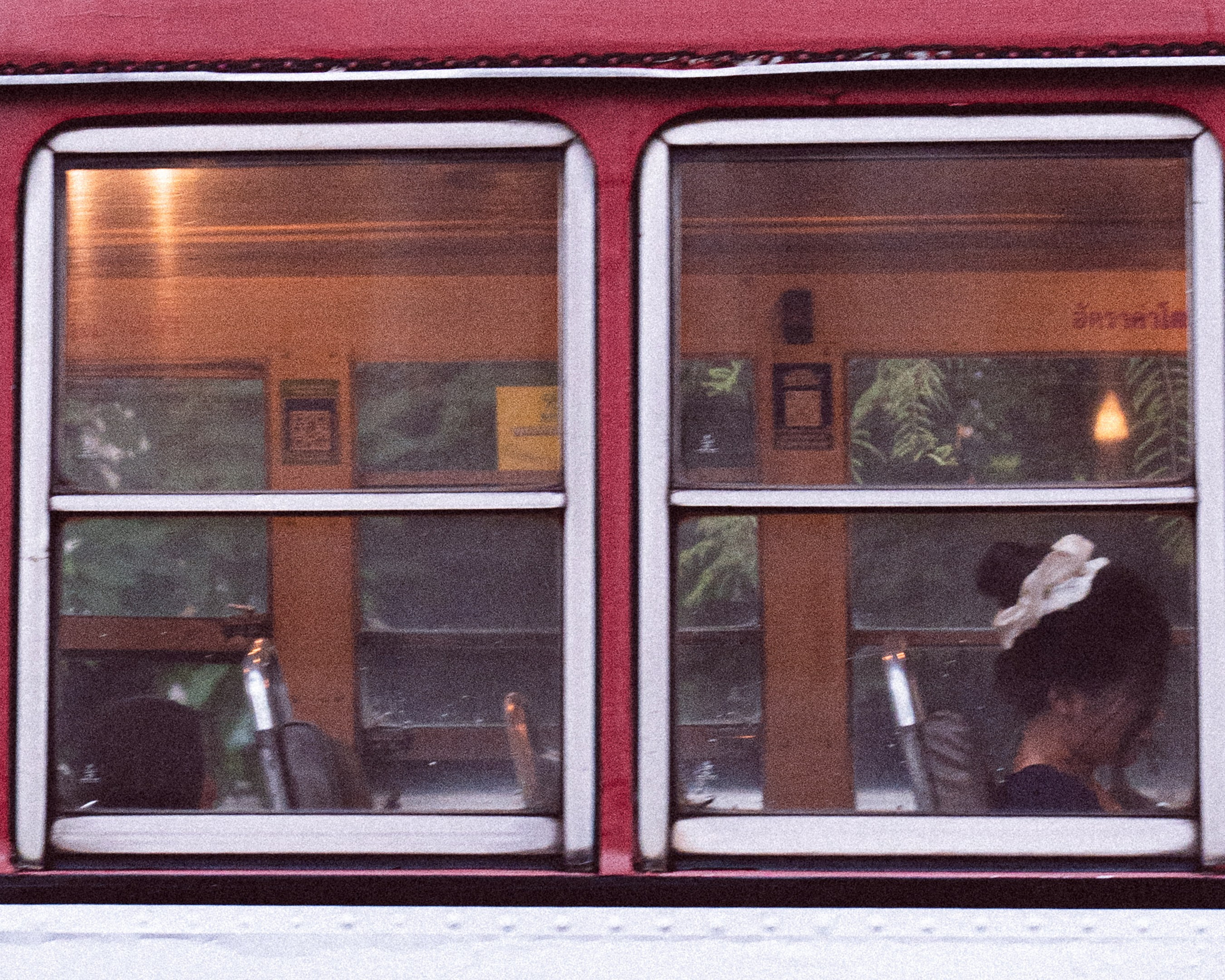 Through the glass (Bangkok). Photographer in Moscow and Samara Anna Chistiakova
