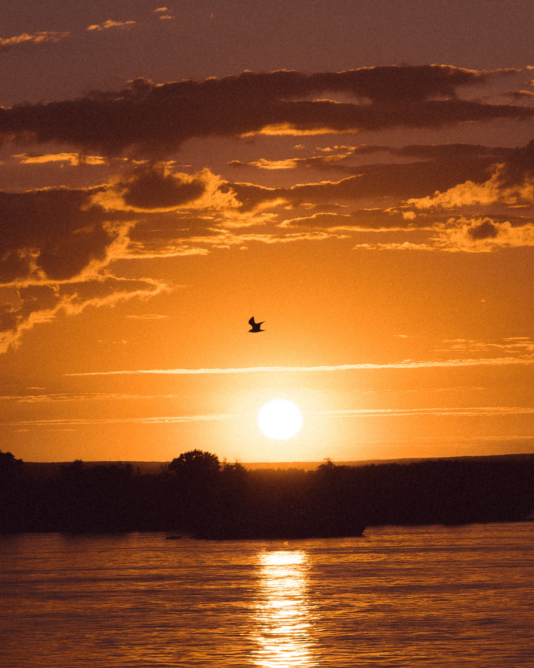 Sunset in Samara. Photographer in Moscow and Samara Anna Chistiakova