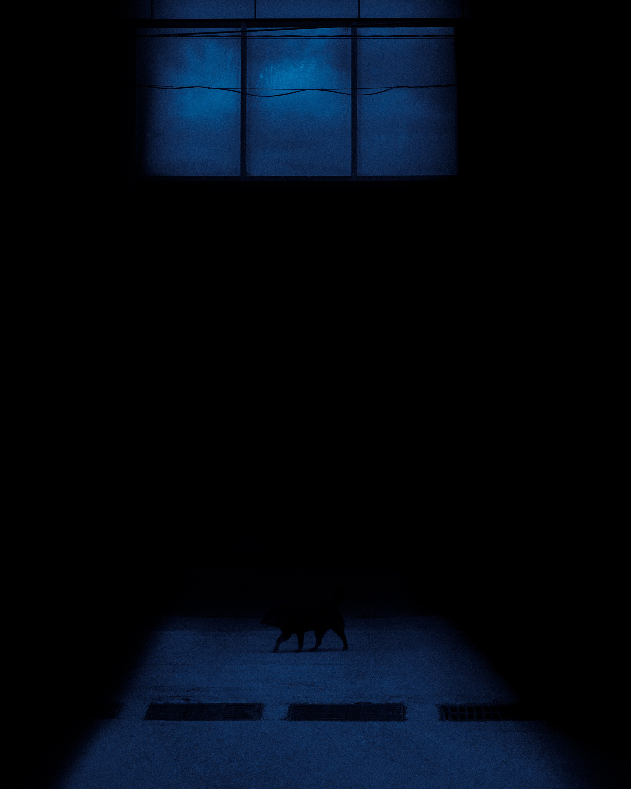 Cinematic Frames / Visual Poetry. Photographer in Moscow and Samara Anna Chistiakova