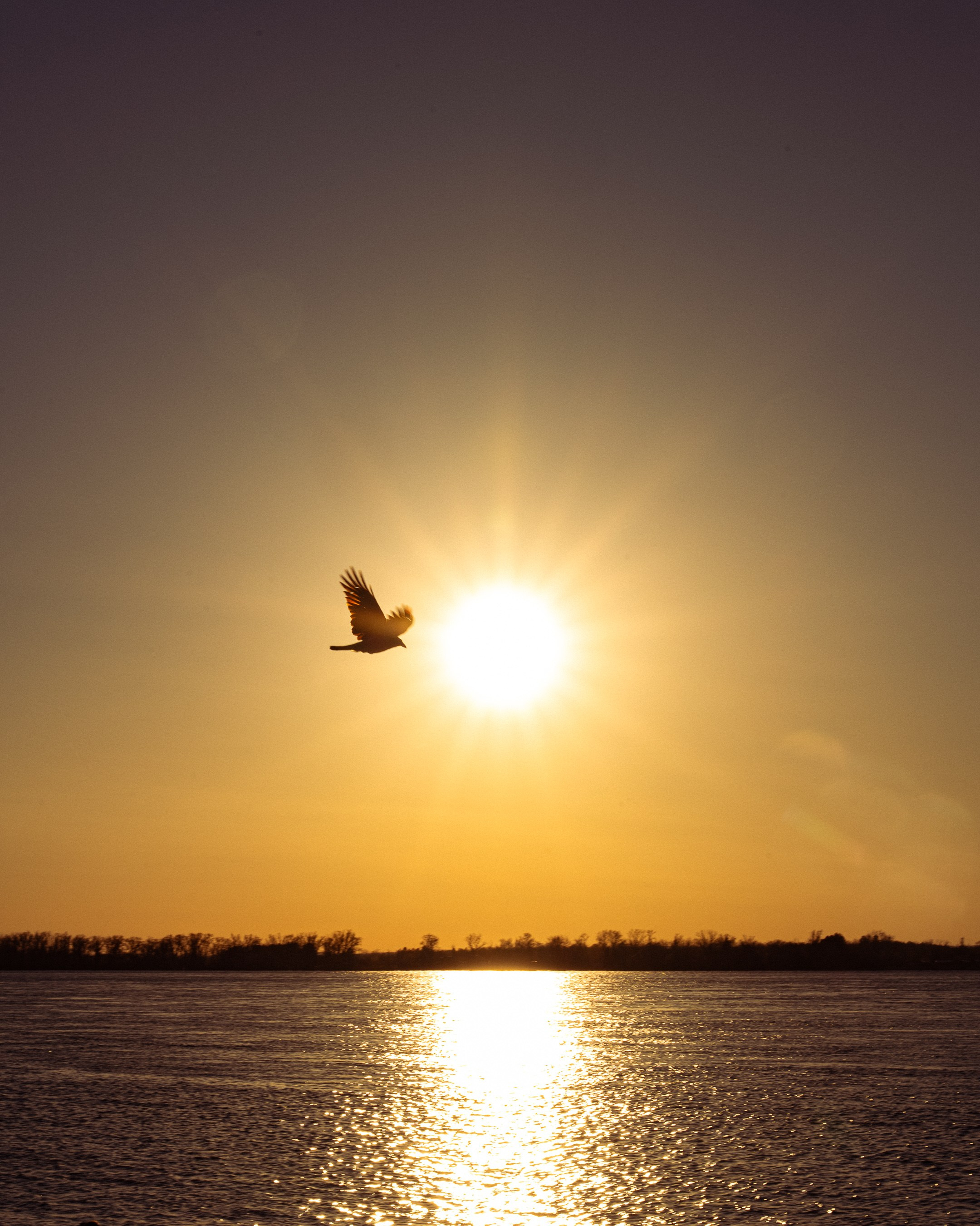 Sunset in Samara. Photographer in Moscow and Samara Anna Chistiakova