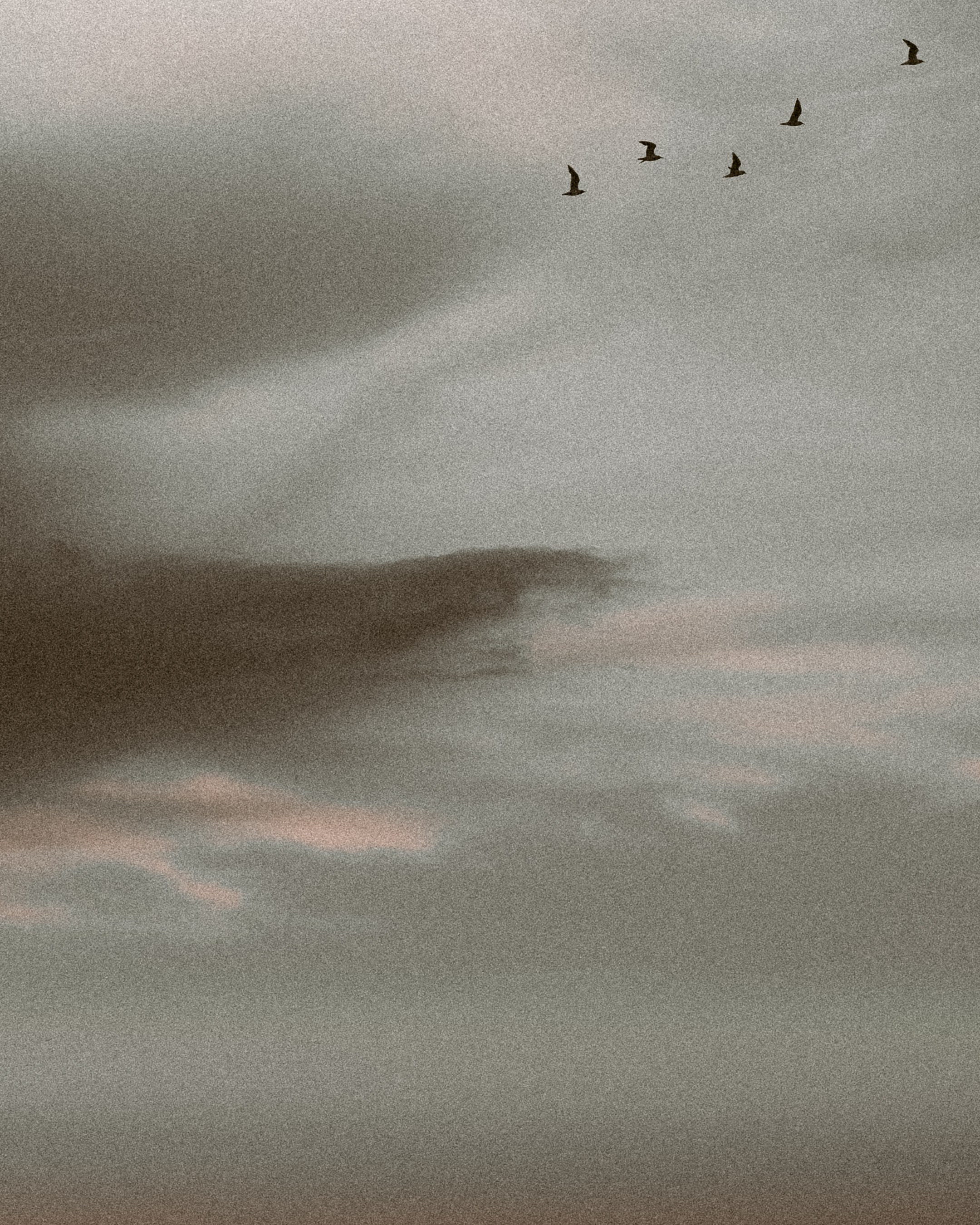 Still? Always. Photographer in Moscow and Samara Anna Chistiakova