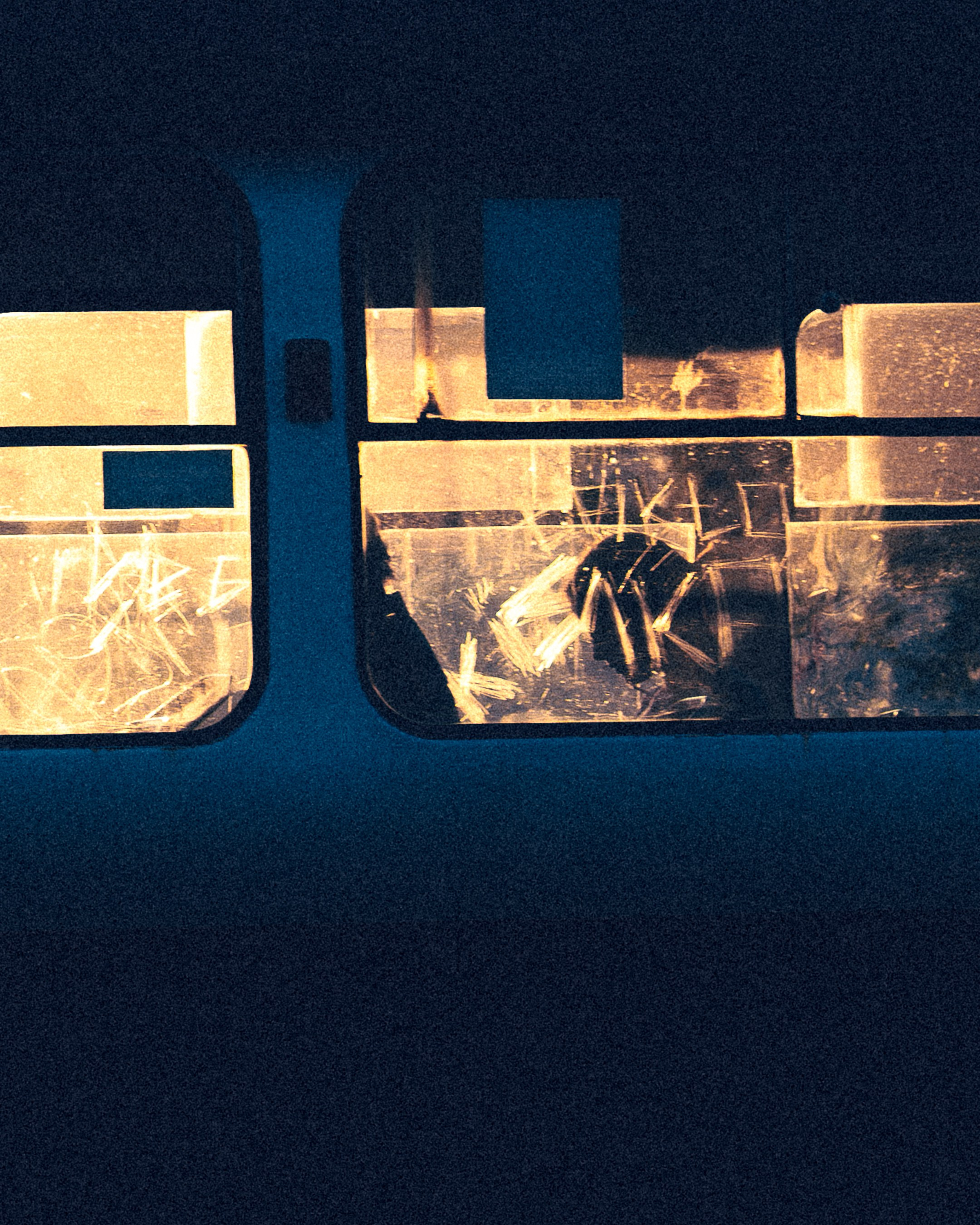 Through the glass (Samara). Photographer in Moscow and Samara Anna Chistiakova