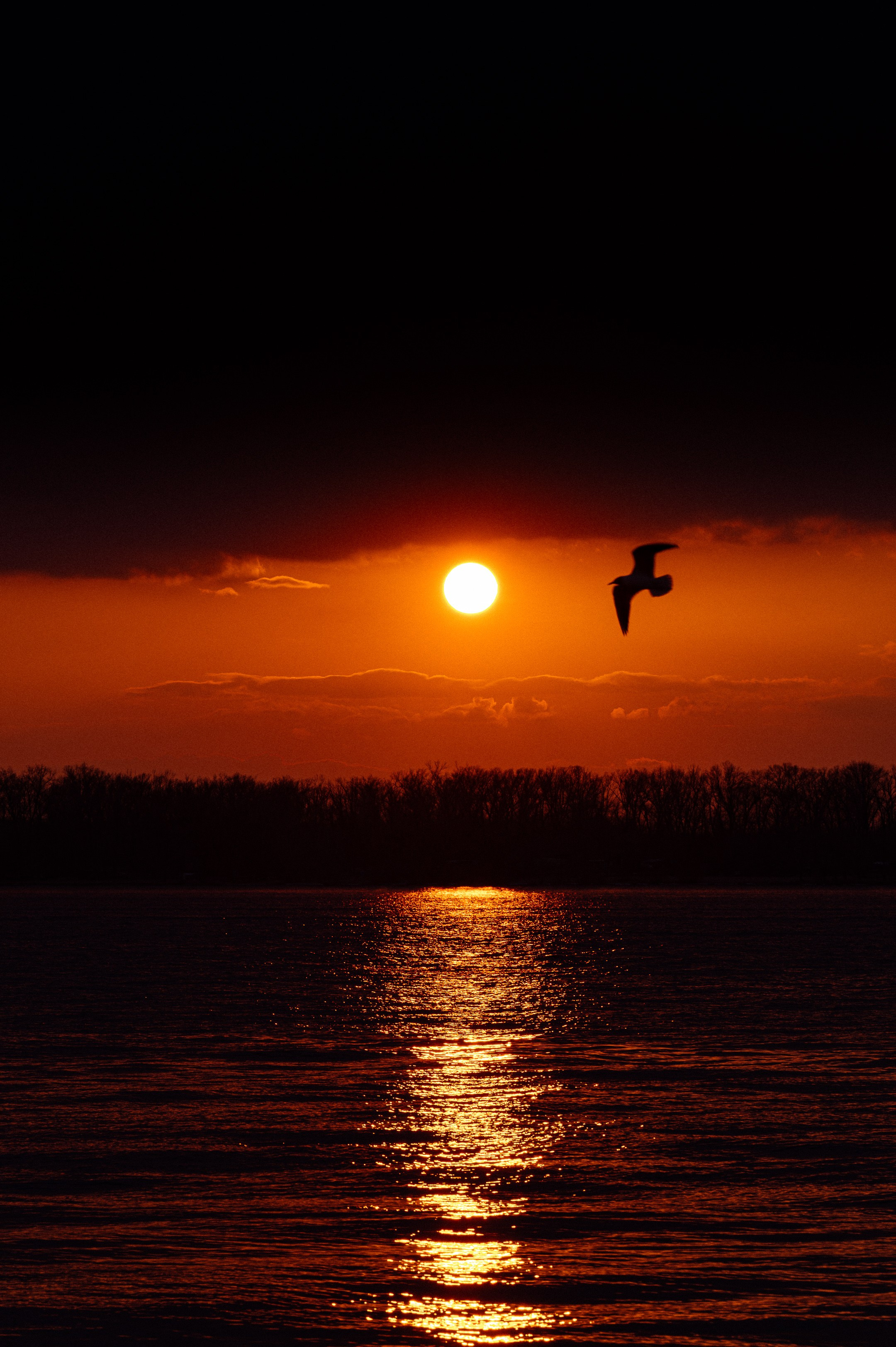 Sunset in Samara. Photographer in Moscow and Samara Anna Chistiakova