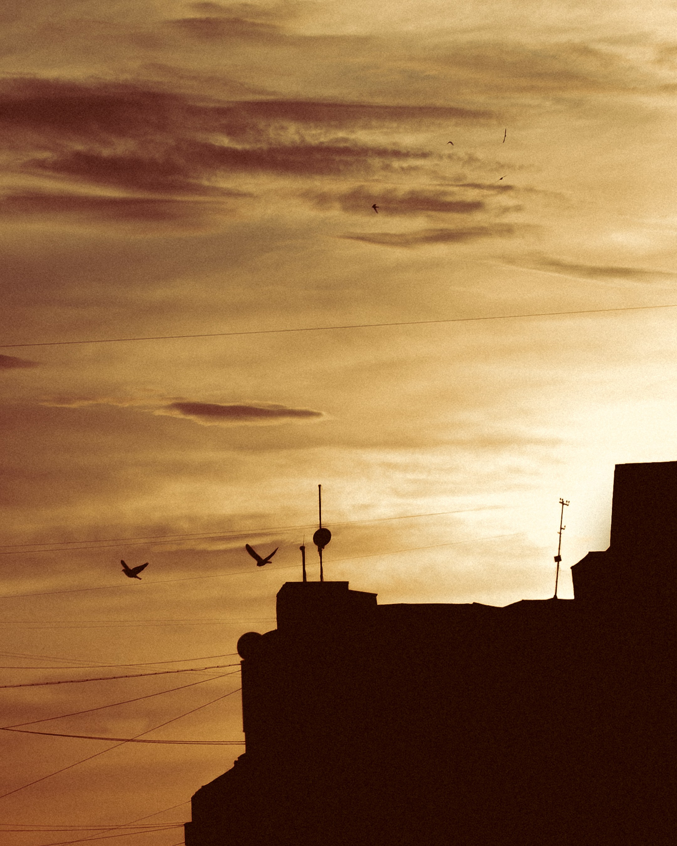 Sunset in Samara. Photographer in Moscow and Samara Anna Chistiakova
