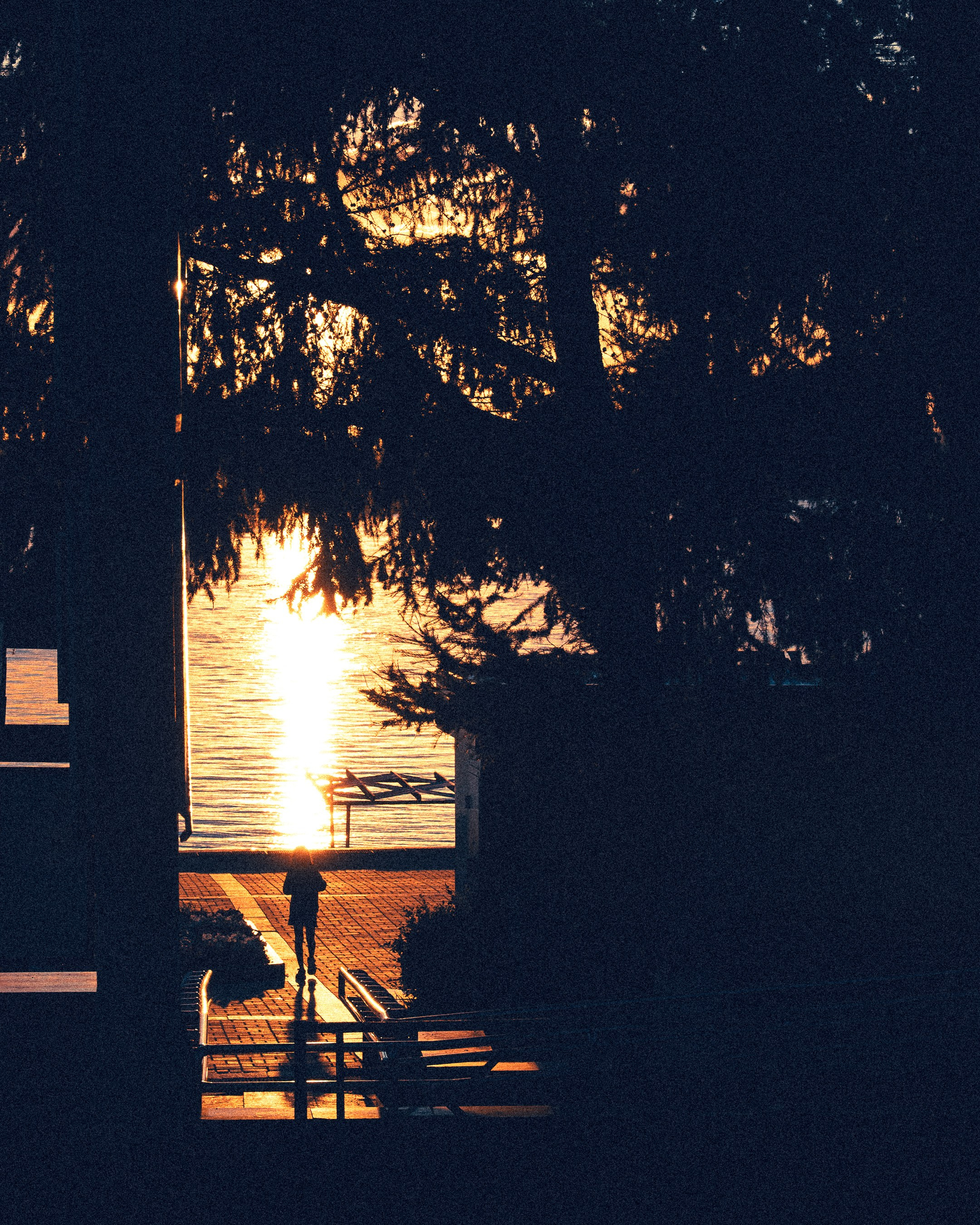 Sunset in Samara. Photographer in Moscow and Samara Anna Chistiakova