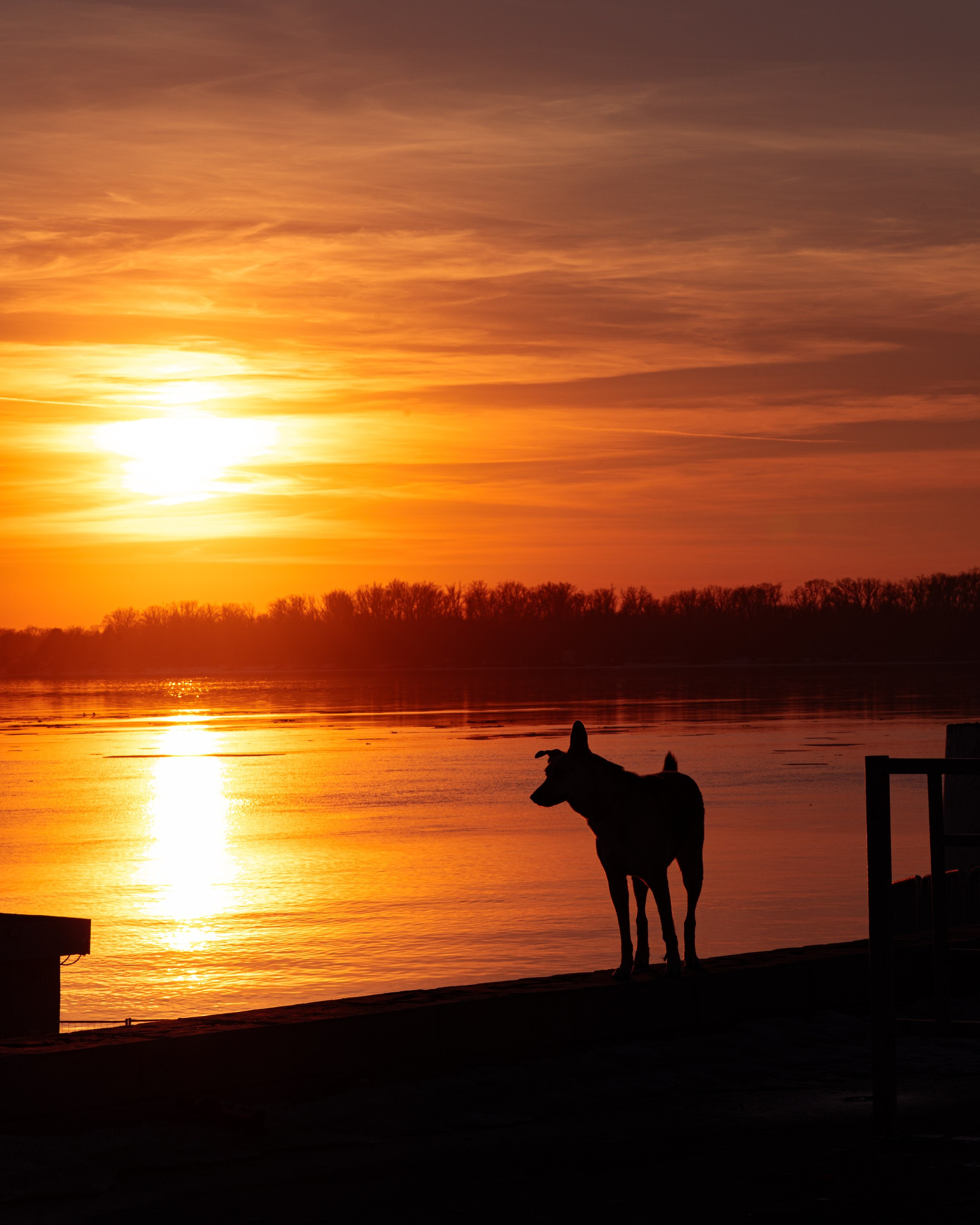Sunset in Samara. Photographer in Moscow and Samara Anna Chistiakova