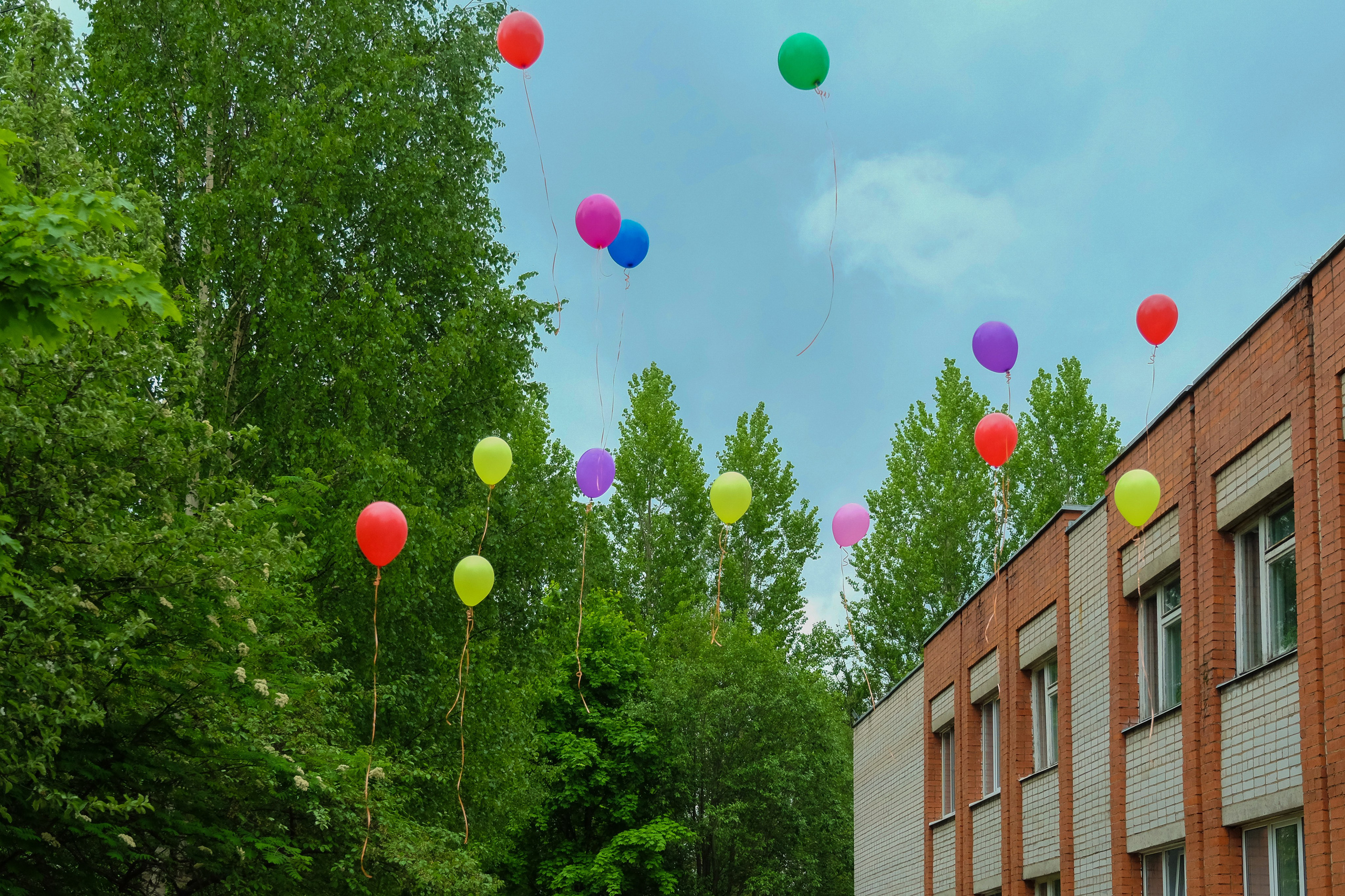 Детские праздники. Выпускные альбомы в Ярославле и Ярославской области Ярко Фото