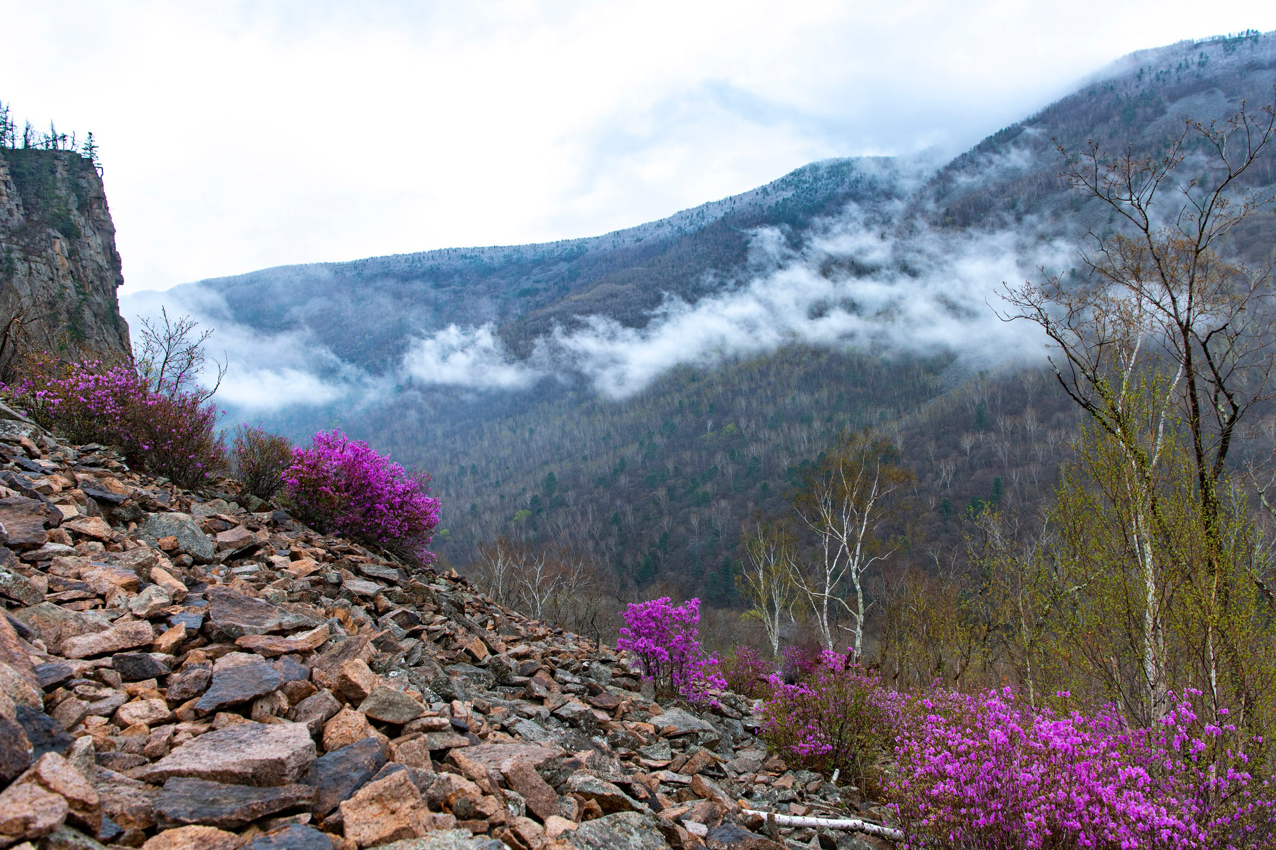 Природа Хабаровского края. Команда фотографов Кристины Ивановой