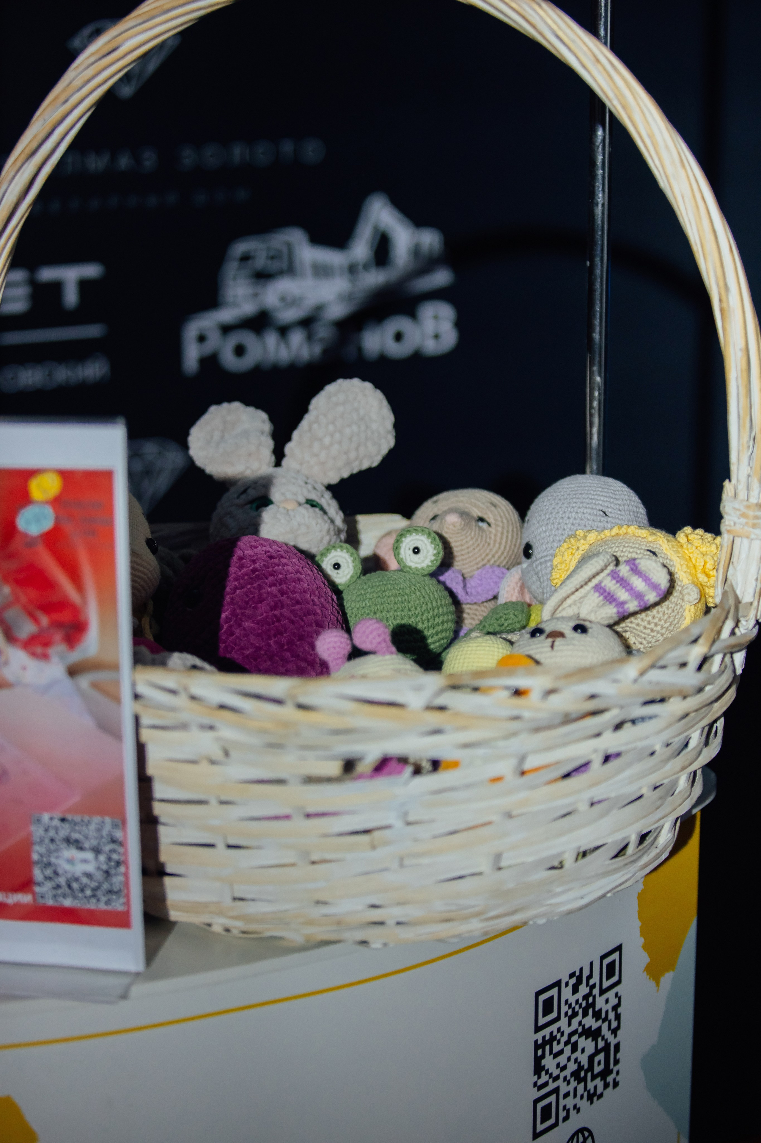 Премия года 2025. Фотограф Анастасия Романова Рязань