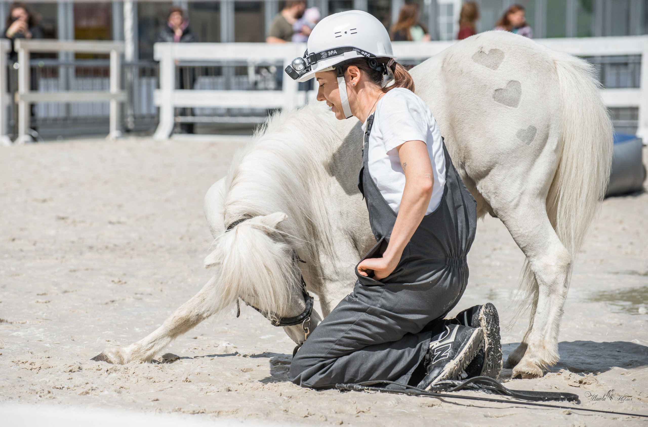 Эквирос, Москва. Конный фотограф в Саратове Юлия Иванова
