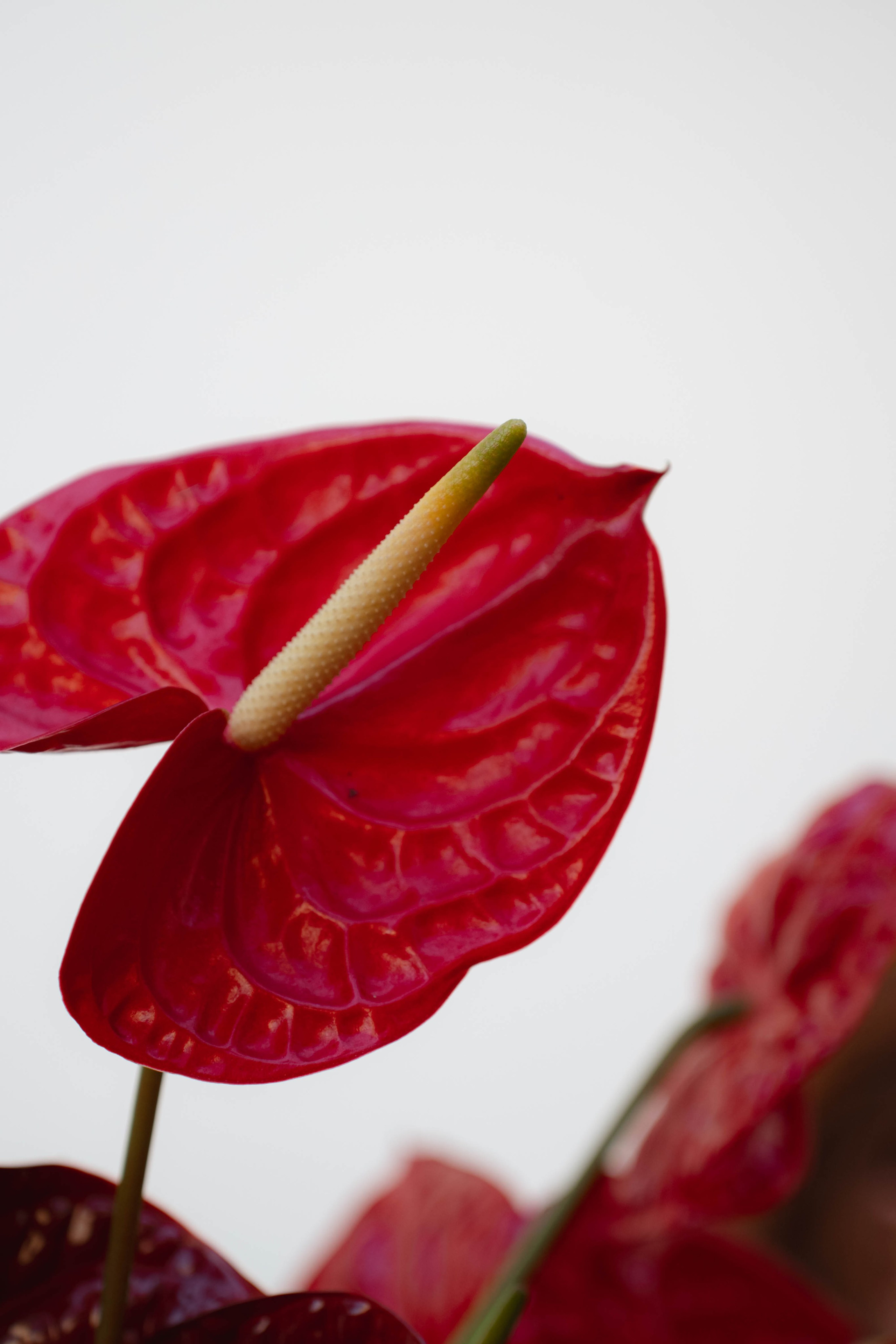 MIN SIN x Surf Coffee. Репортажный фотограф в Казани Виктория Трунова