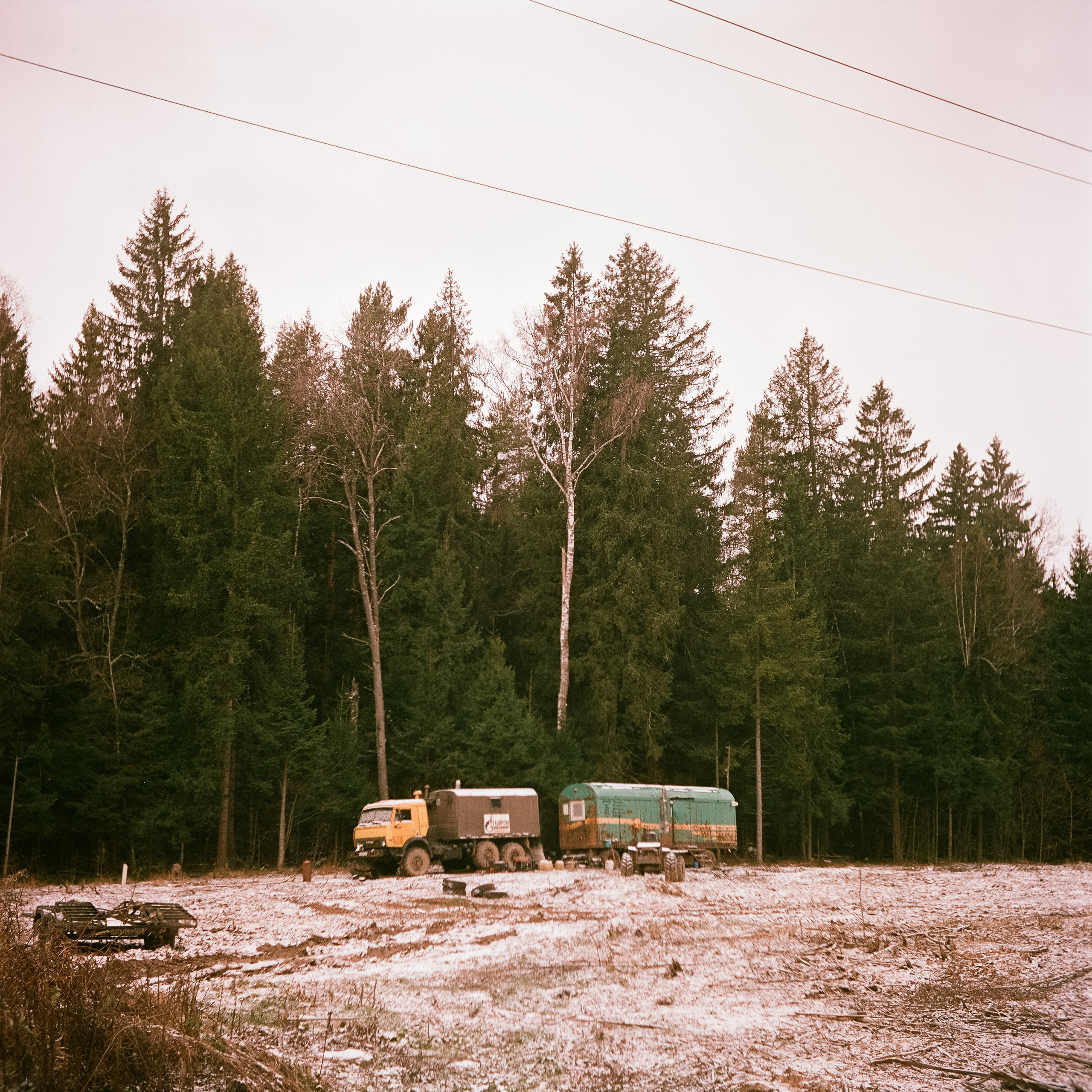 Yashica 635 / Aeronega 100 (Kodak Aerocolor IV) / ноябрь 2024 Лукино
